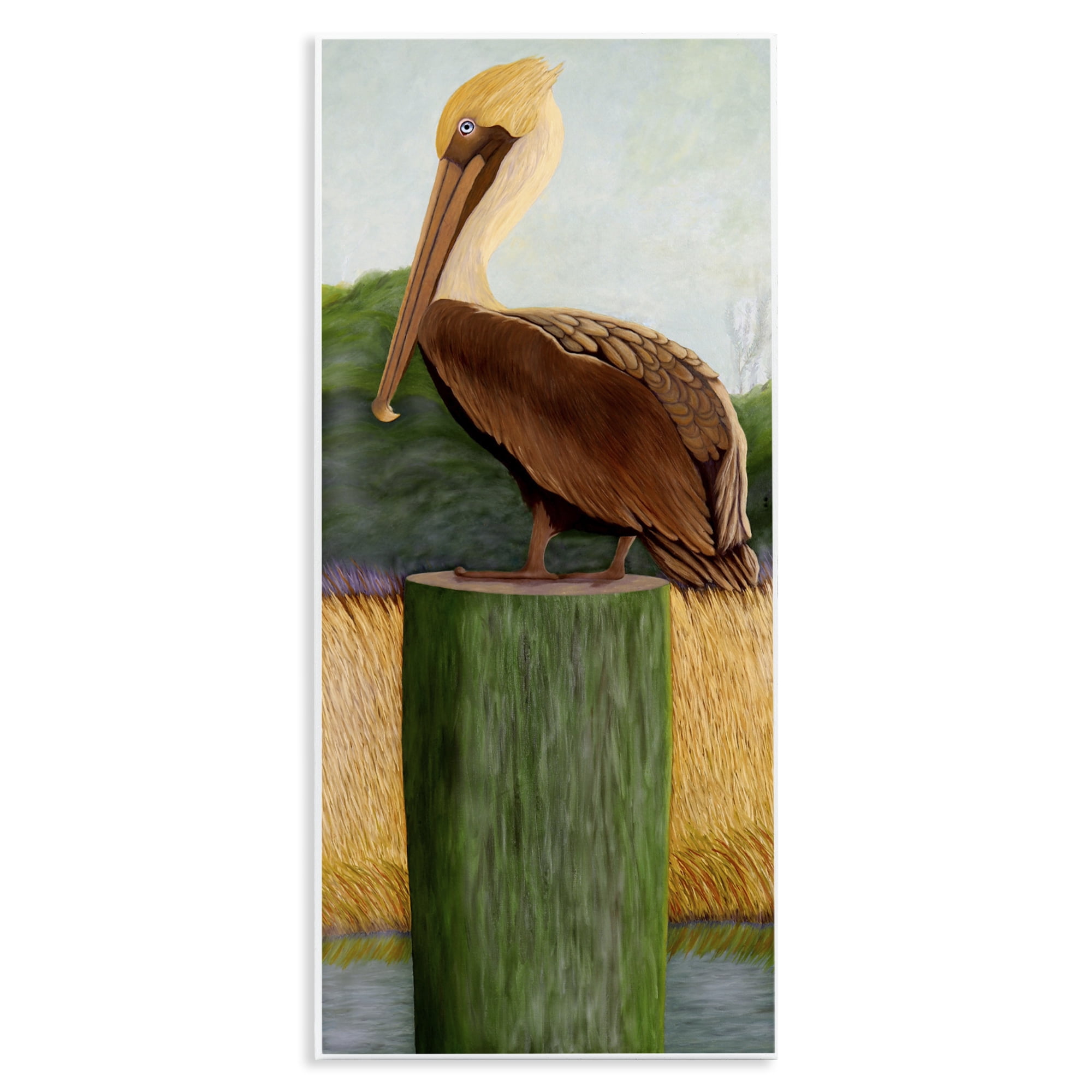 Stupell Industries Blue Eyed Pelican Wall Plaque Art, design by Barbara Fallenbaum