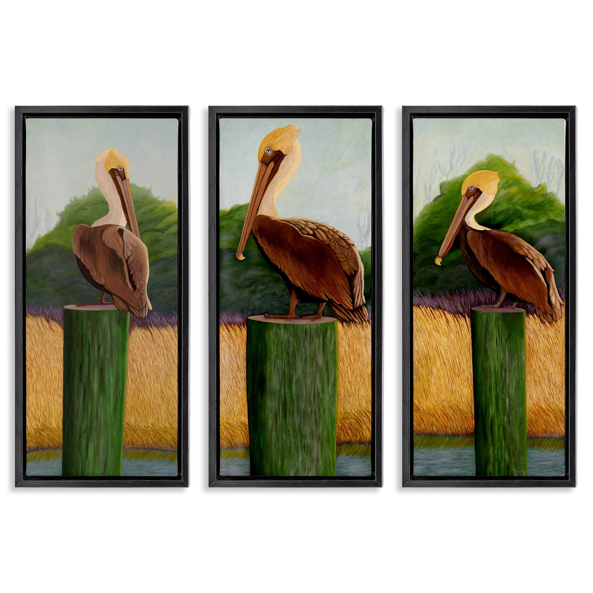 Stupell Industries Blue Eyed Pelicans in Marsh 3 Piece Black Framed Floater Canvas Set, design by Barbara Fallenbaum
