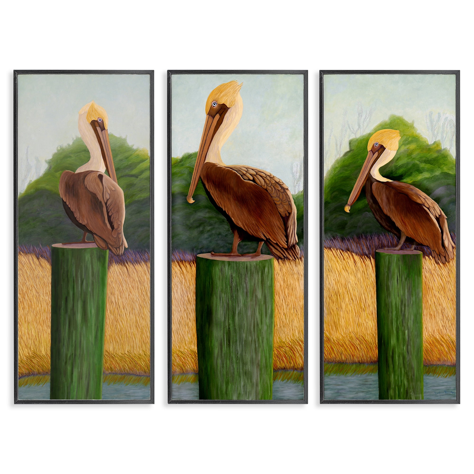 Stupell Industries Blue Eyed Pelicans in Marsh 3 Piece Black Framed Giclee Art Set, design by Barbara Fallenbaum