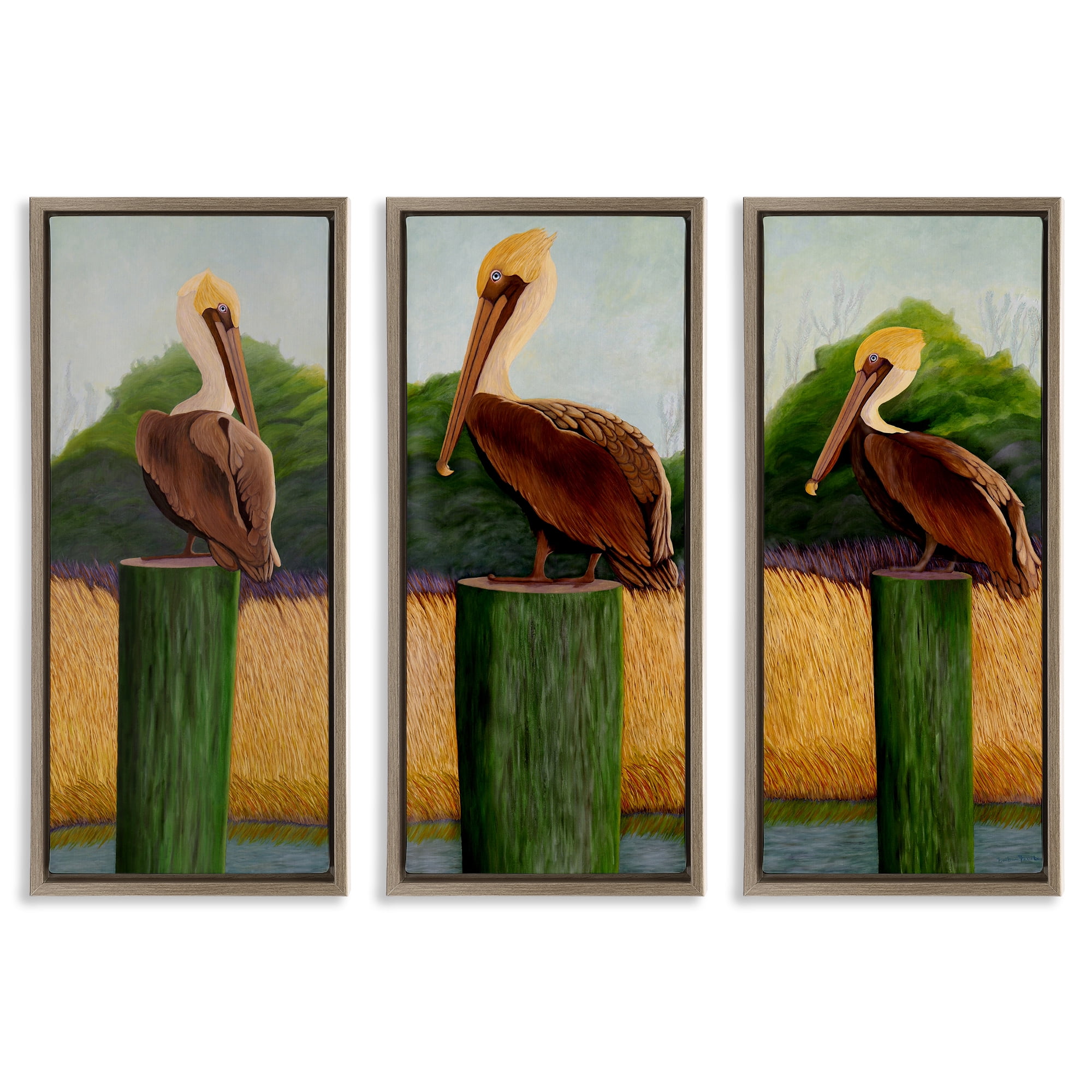 Stupell Industries Blue Eyed Pelicans in Marsh 3 Piece Brown Framed Floater Canvas Set, design by Barbara Fallenbaum