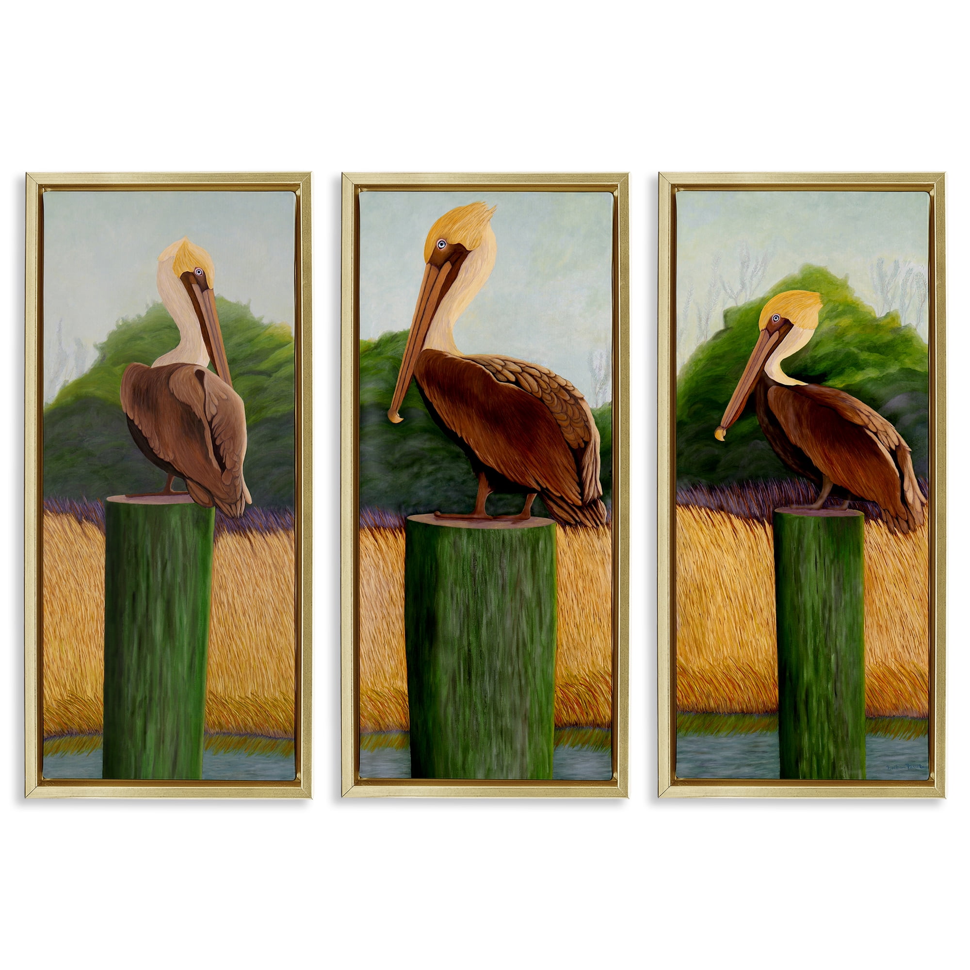 Stupell Industries Blue Eyed Pelicans in Marsh 3 Piece Gold Framed Floater Canvas Set, design by Barbara Fallenbaum