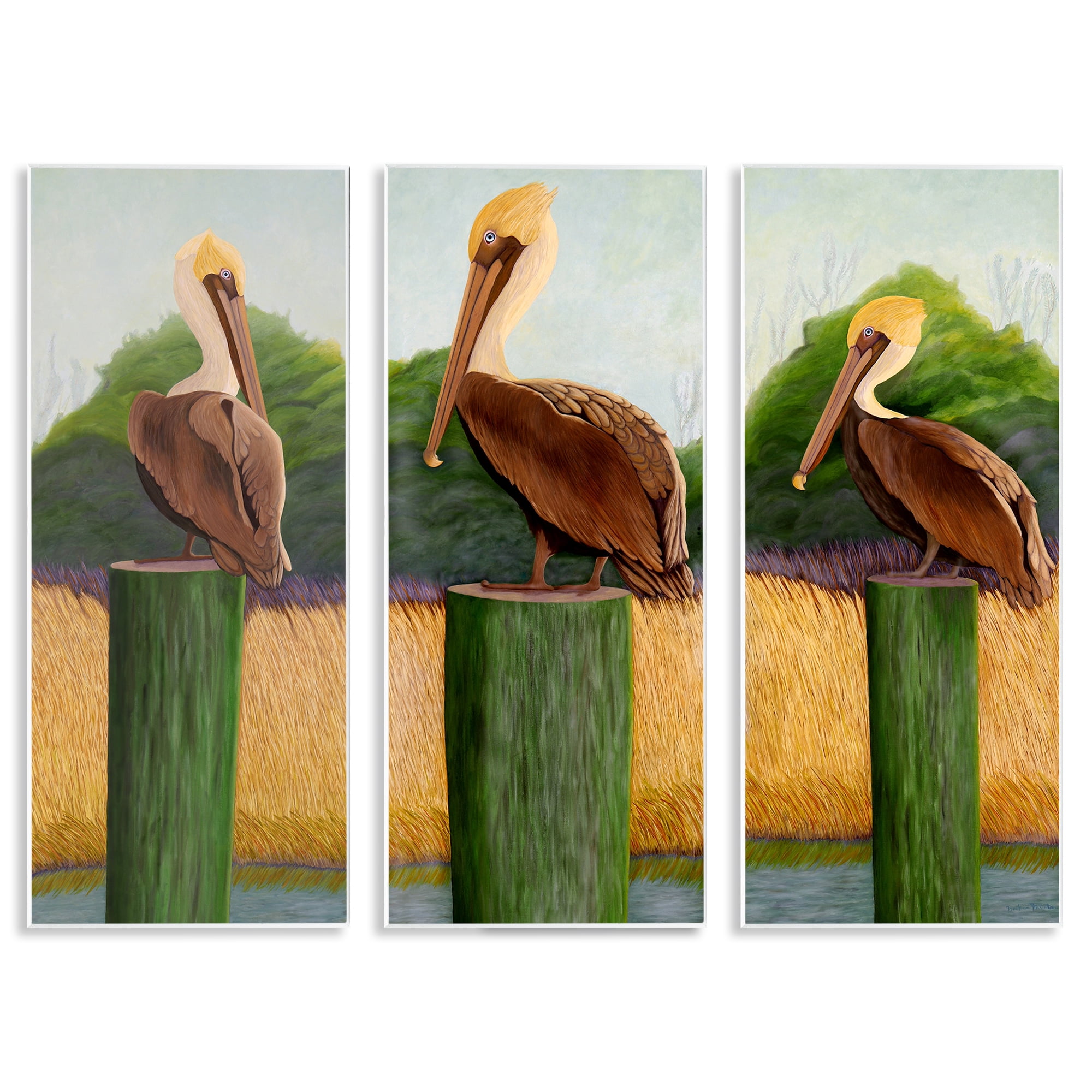 Stupell Industries Blue Eyed Pelicans in Marsh 3 Piece Wall Plaque Art Set, design by Barbara Fallenbaum