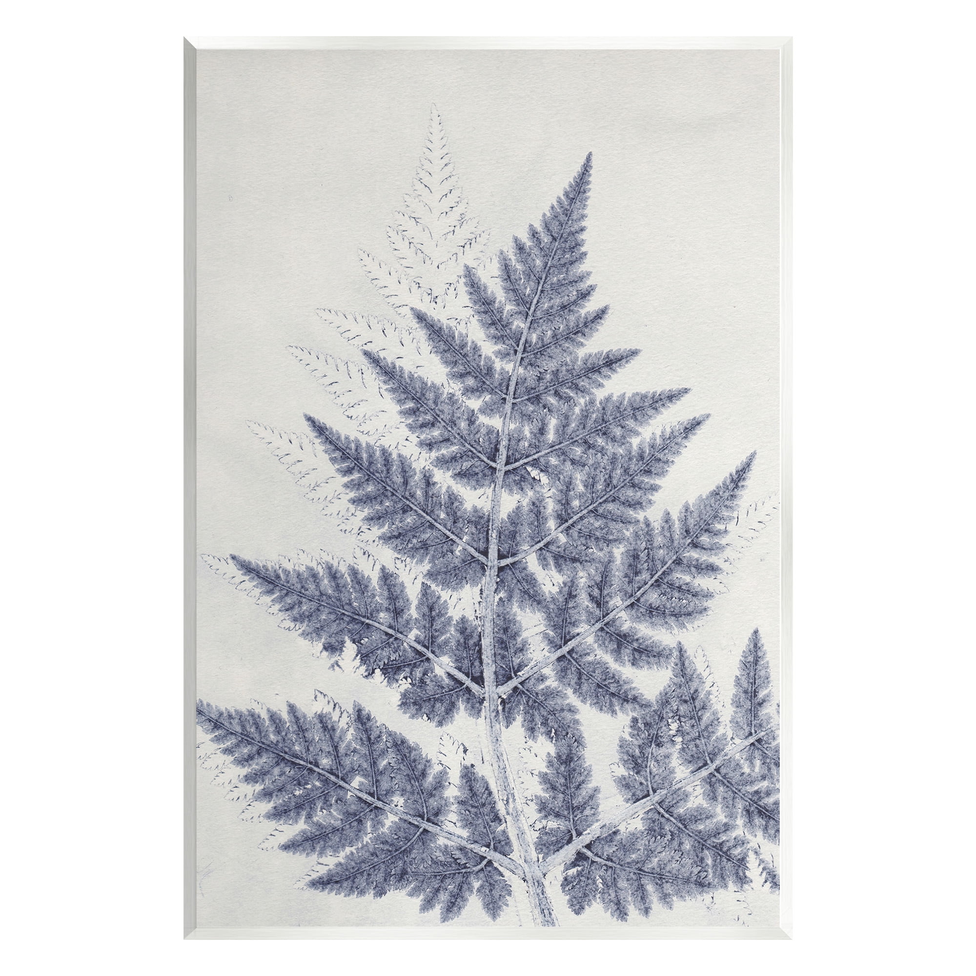Stupell Industries Blue Fern Imprint Botanical & Floral Painting Unframed Art Print Wall Art, 13 x 19