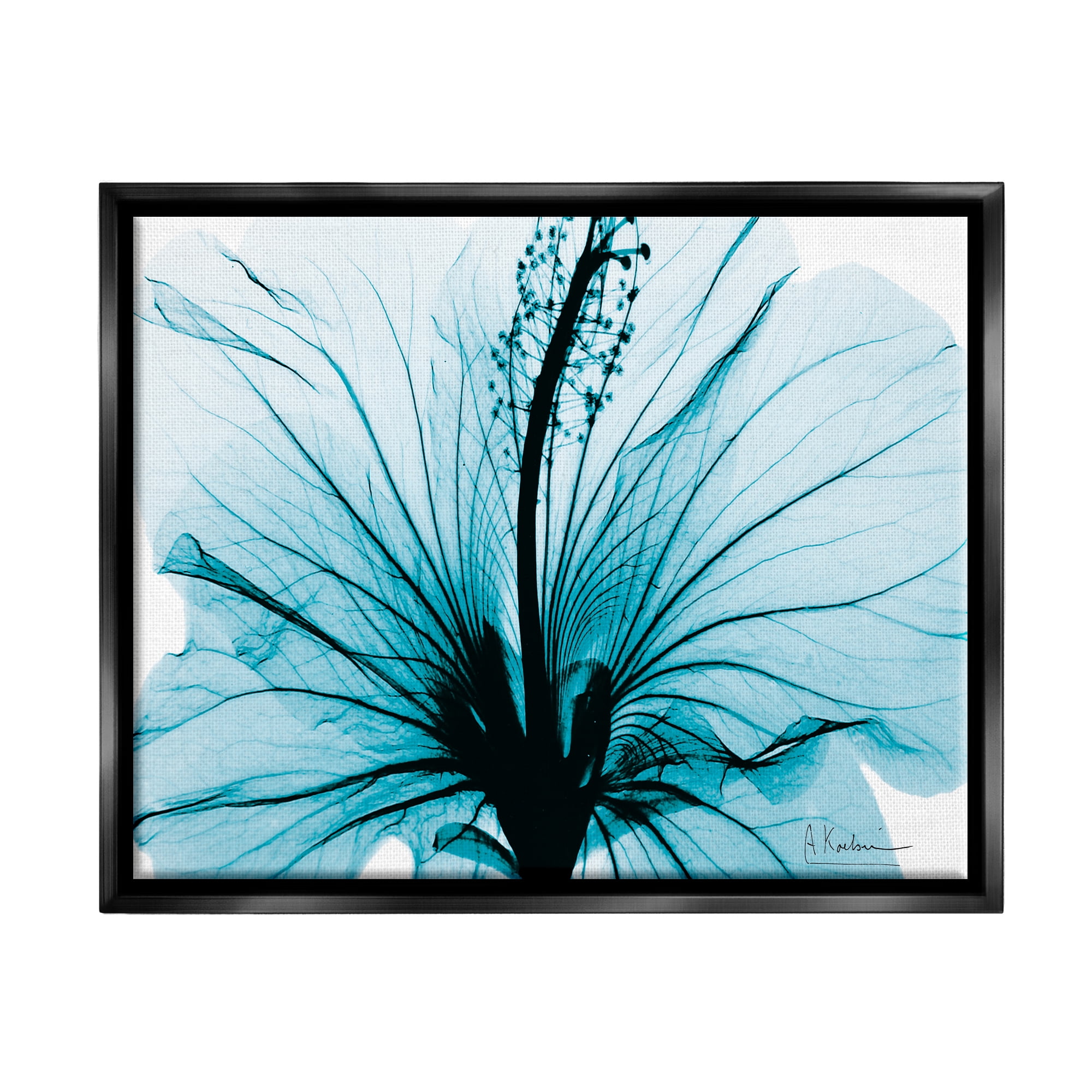 Stupell Industries Blue Flower X-Ray Botanical & Floral Photography Black Floater Framed Art Print Wall Art, 21 x 17