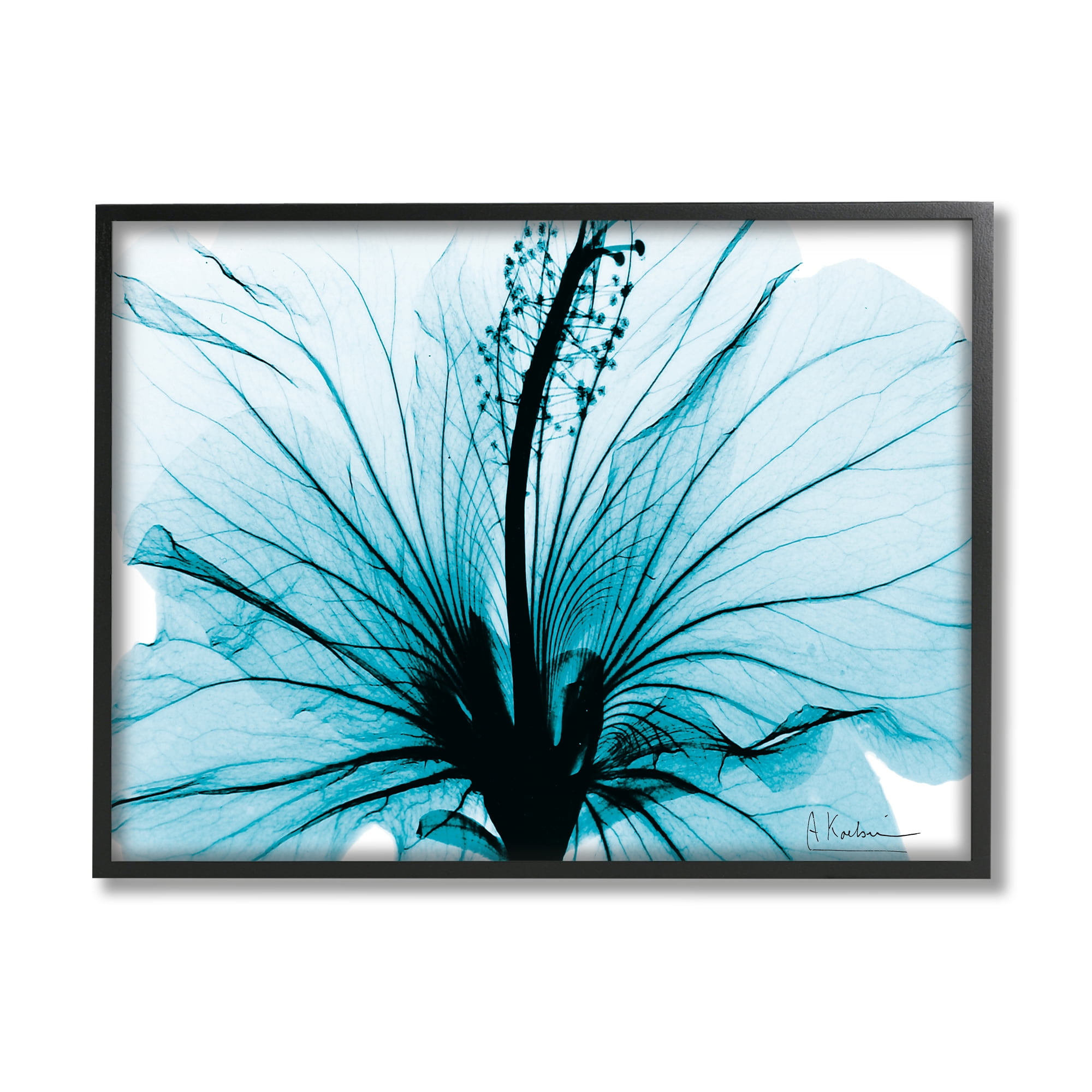 Stupell Industries Blue Flower X-Ray Botanical & Floral Photography Black Framed Art Print Wall Art, 20 x 16