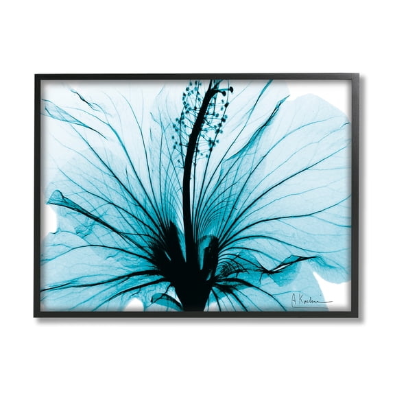 Stupell Industries Blue Flower X-Ray Botanical & Floral Photography Black Framed Art Print Wall Art, 30 x 24