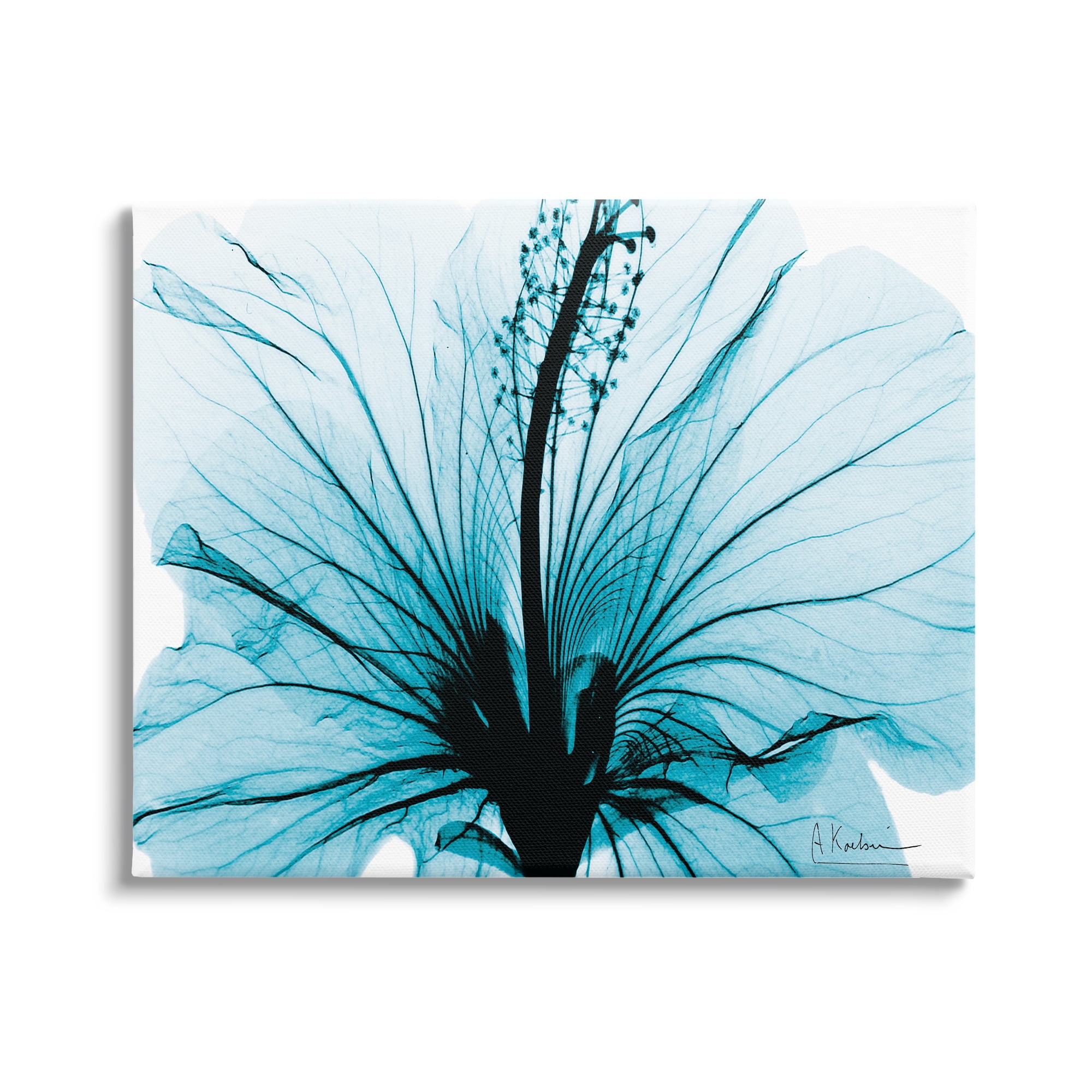 Stupell Industries Blue Flower X-Ray Botanical & Floral Photography Gallery Wrapped Canvas Print Wall Art, 30 x 24