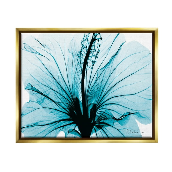 Stupell Industries Blue Flower X-Ray Botanical & Floral Photography Gold Floater Framed Art Print Wall Art, 31 x 25