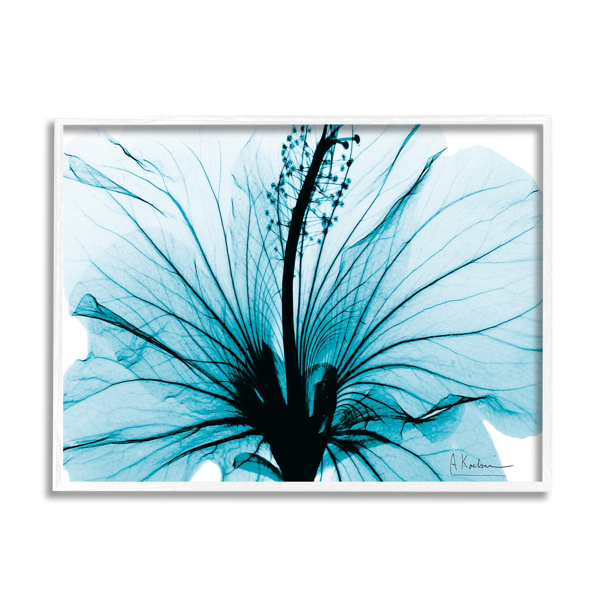 Stupell Industries Blue Flower X-Ray Botanical & Floral Photography White Framed Art Print Wall Art, 14 x 11
