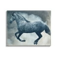 thumbnail image 1 of Stupell Industries Blue Galloping Horse Vintage Animals & Insects Painting Gallery Wrapped Canvas Print Wall Art, 1 of 5