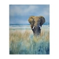 thumbnail image 1 of Stupell Industries Contemporary Blue Grass Elephant Canvas Art, 24 x 30, by Franklyn Gregory, 1 of 8