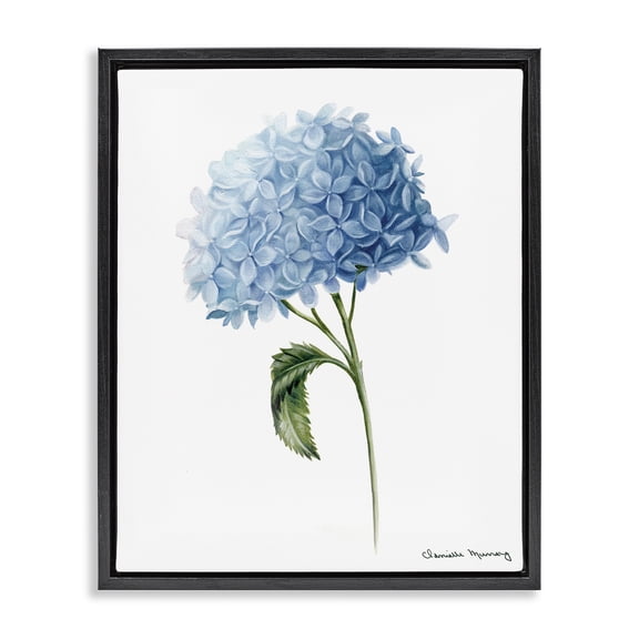 Stupell Industries Blue Hydrangea In Bloom Black Framed Floater Canvas Wall Art design by Danielle Murray, 21 x 17
