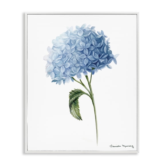 Stupell Industries Blue Hydrangea In Bloom White Framed Giclee Art design by Danielle Murray, 20 x 16