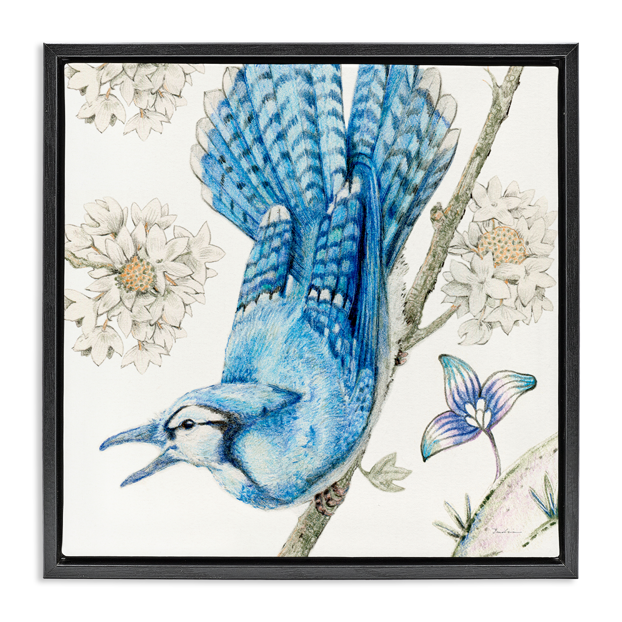 Stupell Industries Blue Jay Perched Florals Animals Painting Black Floater Framed Canvas Art Print Wall Art, 18 x 18