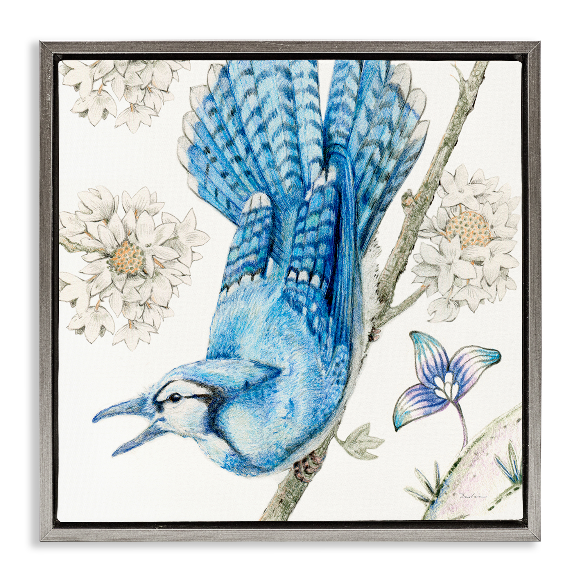 Stupell Industries Blue Jay Perched Florals Animals Painting Gray Floater Framed Canvas Art Print Wall Art, 25 x 25