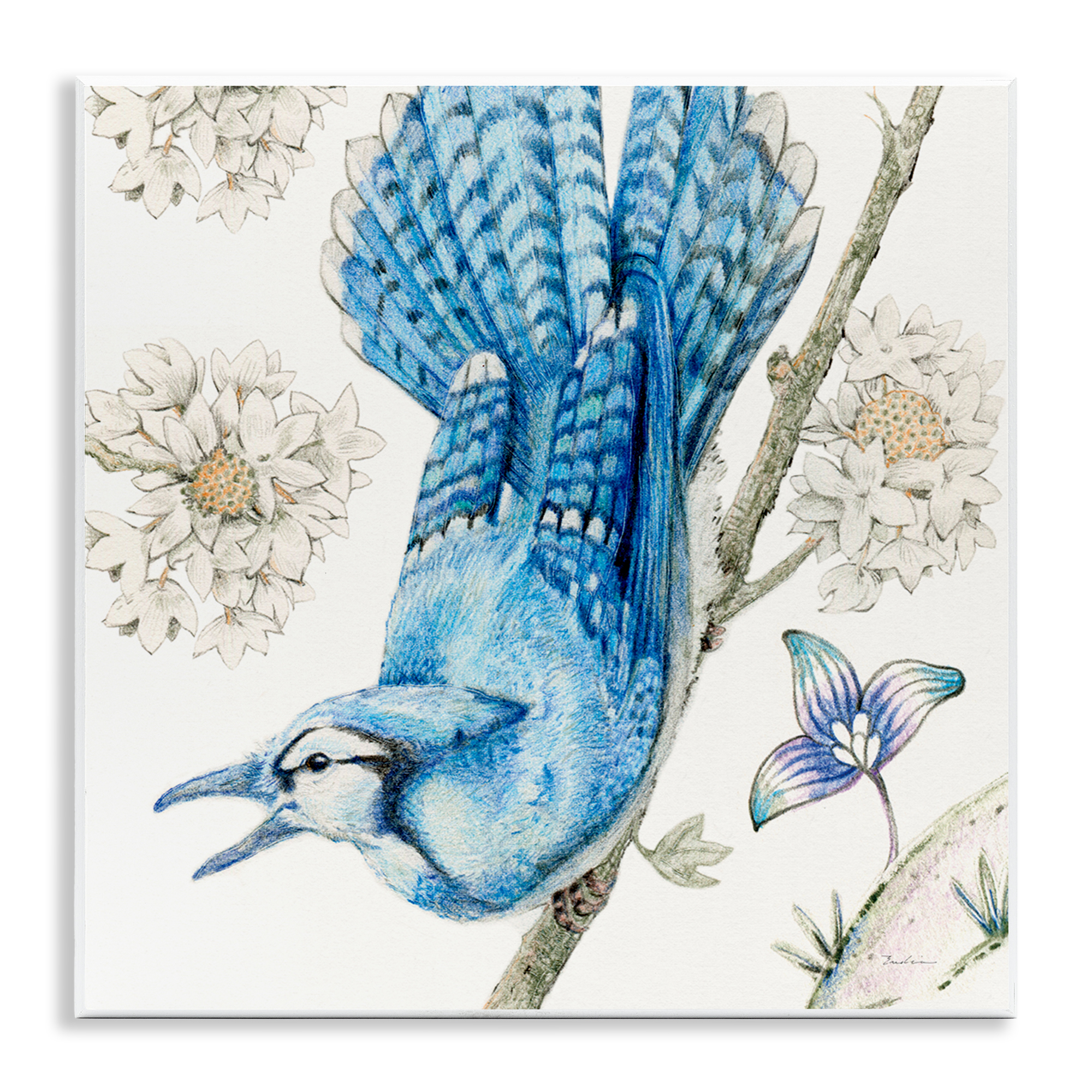 Stupell Industries Blue Jay Perched Florals Animals Painting Unframed Art Print Wall Art, 12 x 12