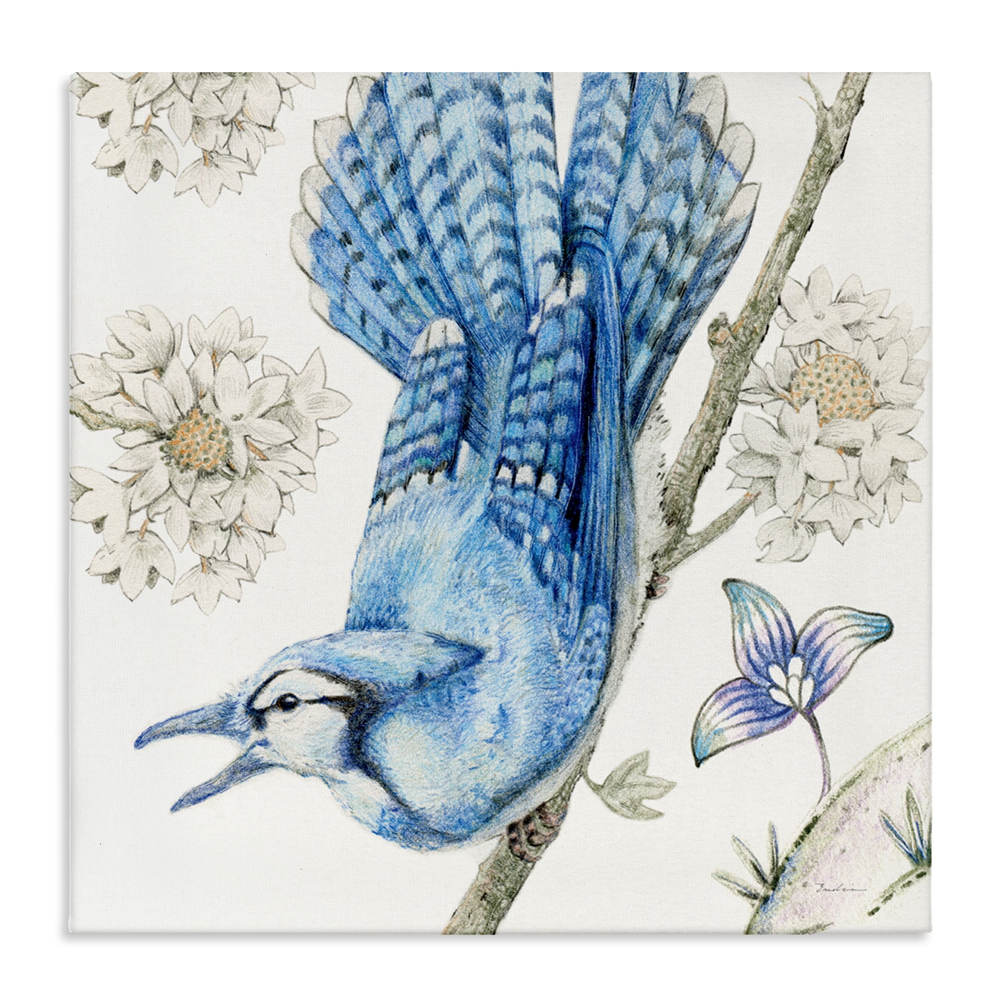 Stupell Industries Blue Jay Perched Florals Animals Painting Wrapped Canvas Art Print Wall Art, 30 x 30
