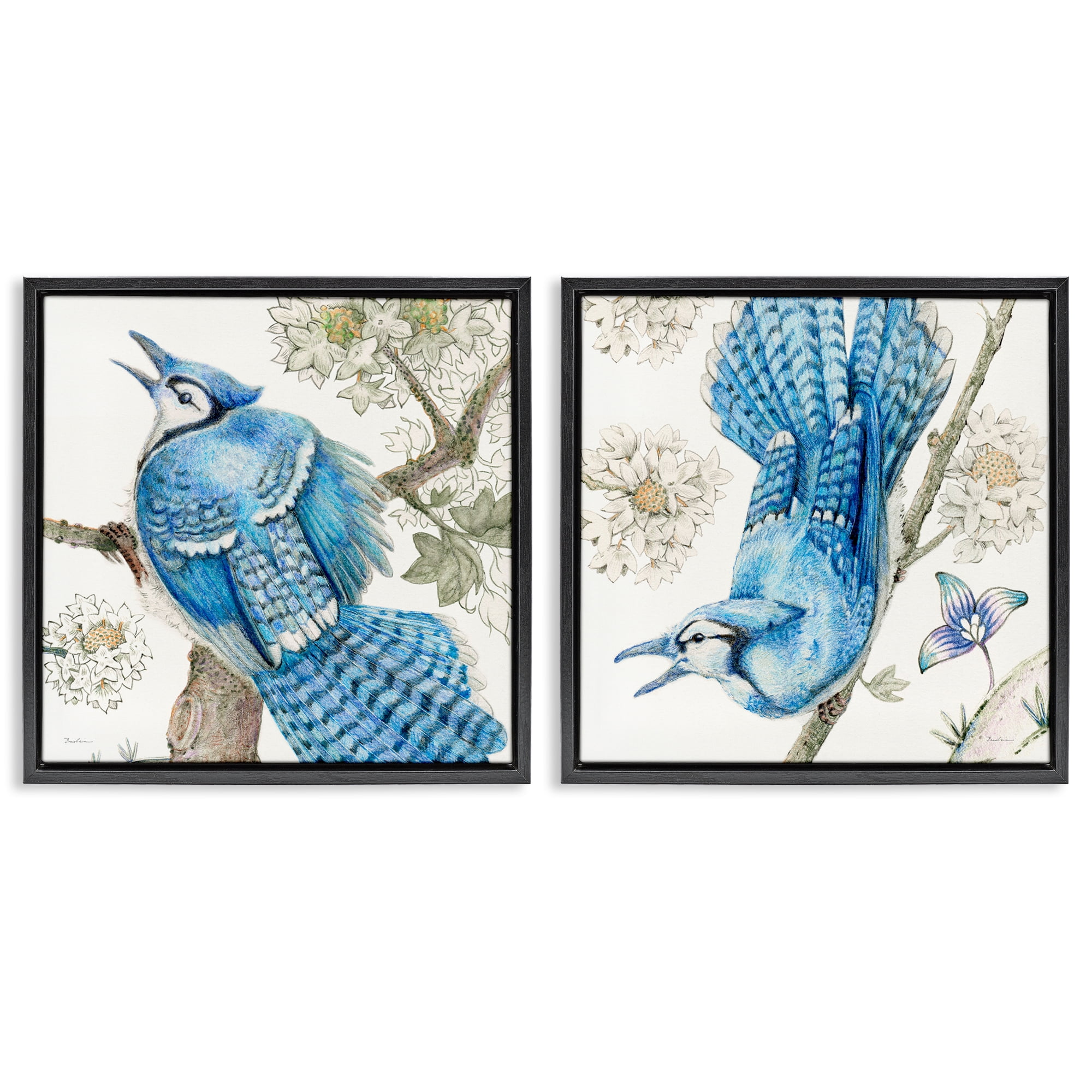 Stupell Industries Blue Jays with White Blossoms Animals Painting Black Floater Framed Canvas Art Print Wall Art, 25 x 25, Set of 2