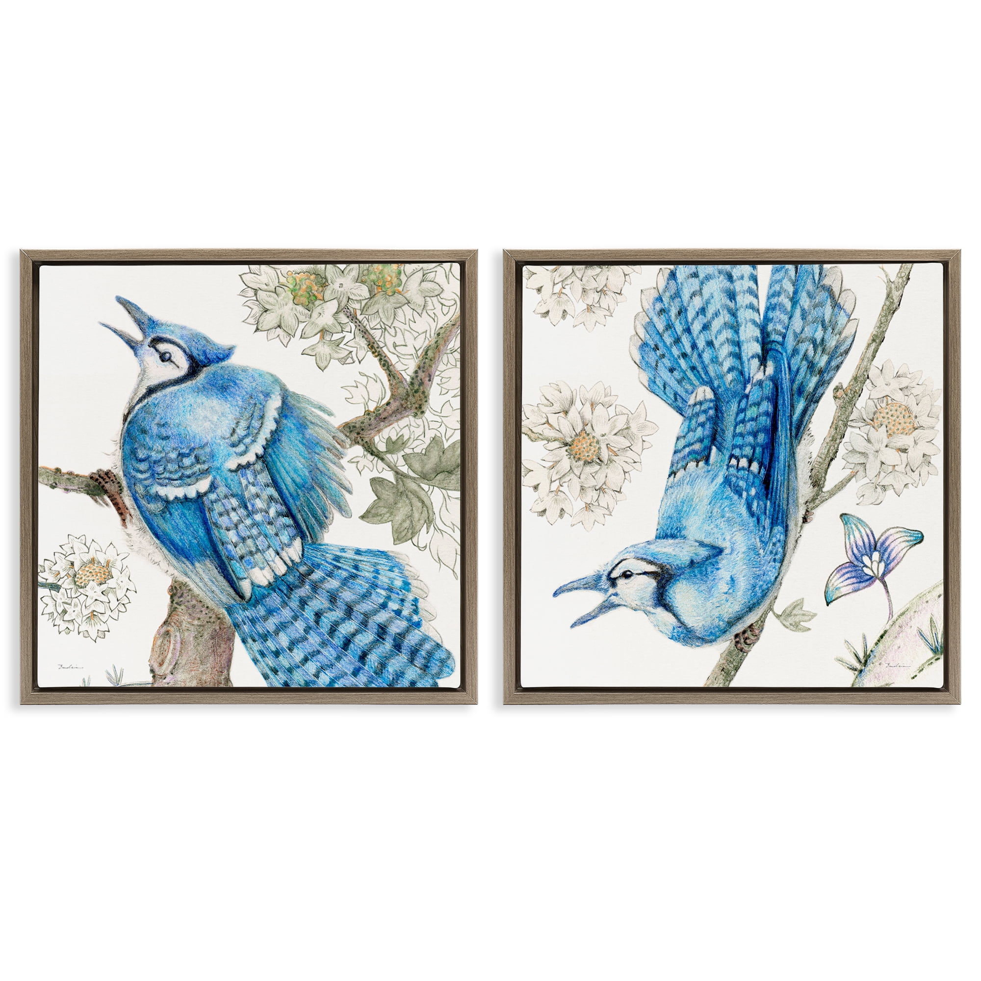 Stupell Industries Blue Jays with White Blossoms Animals Painting Brown Floater Framed Canvas Art Print Wall Art, 25 x 25, Set of 2