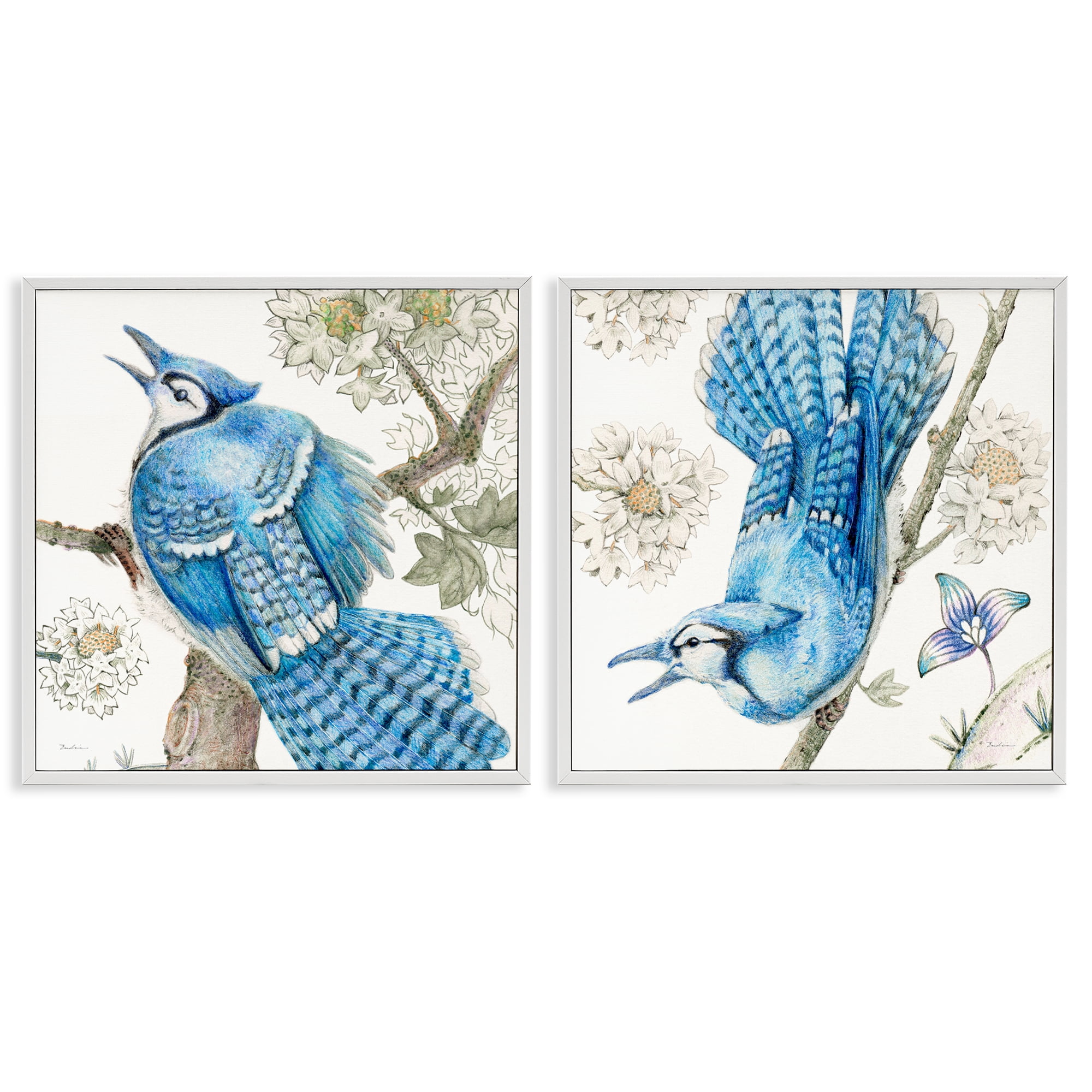 Stupell Industries Blue Jays with White Blossoms Animals Painting White Framed Art Print Wall Art, 24 x 24, Set of 2