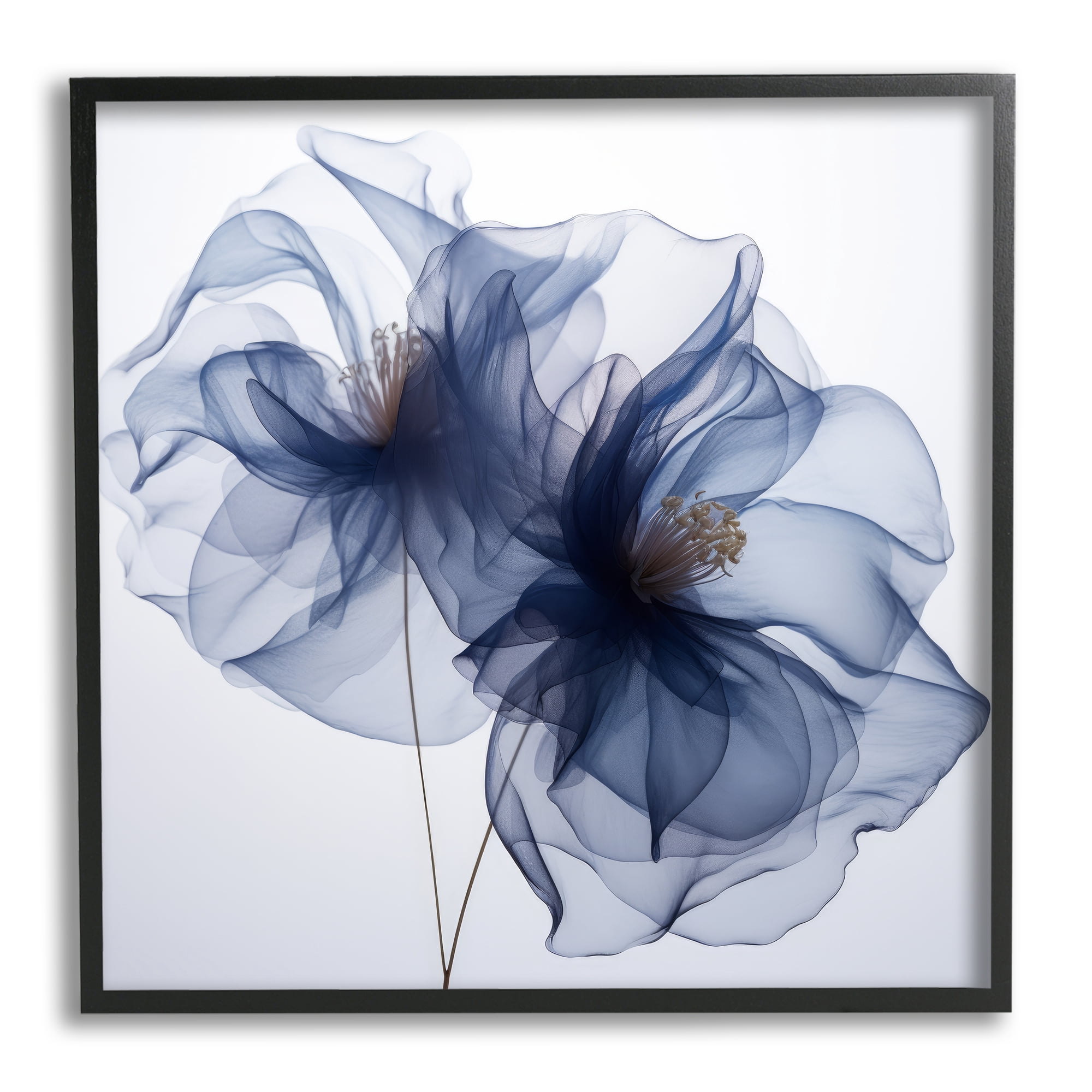 Stupell Industries Blue Modern Bloom Botanical & Floral Photography Black Framed Art Print Wall Art, 24 x 24