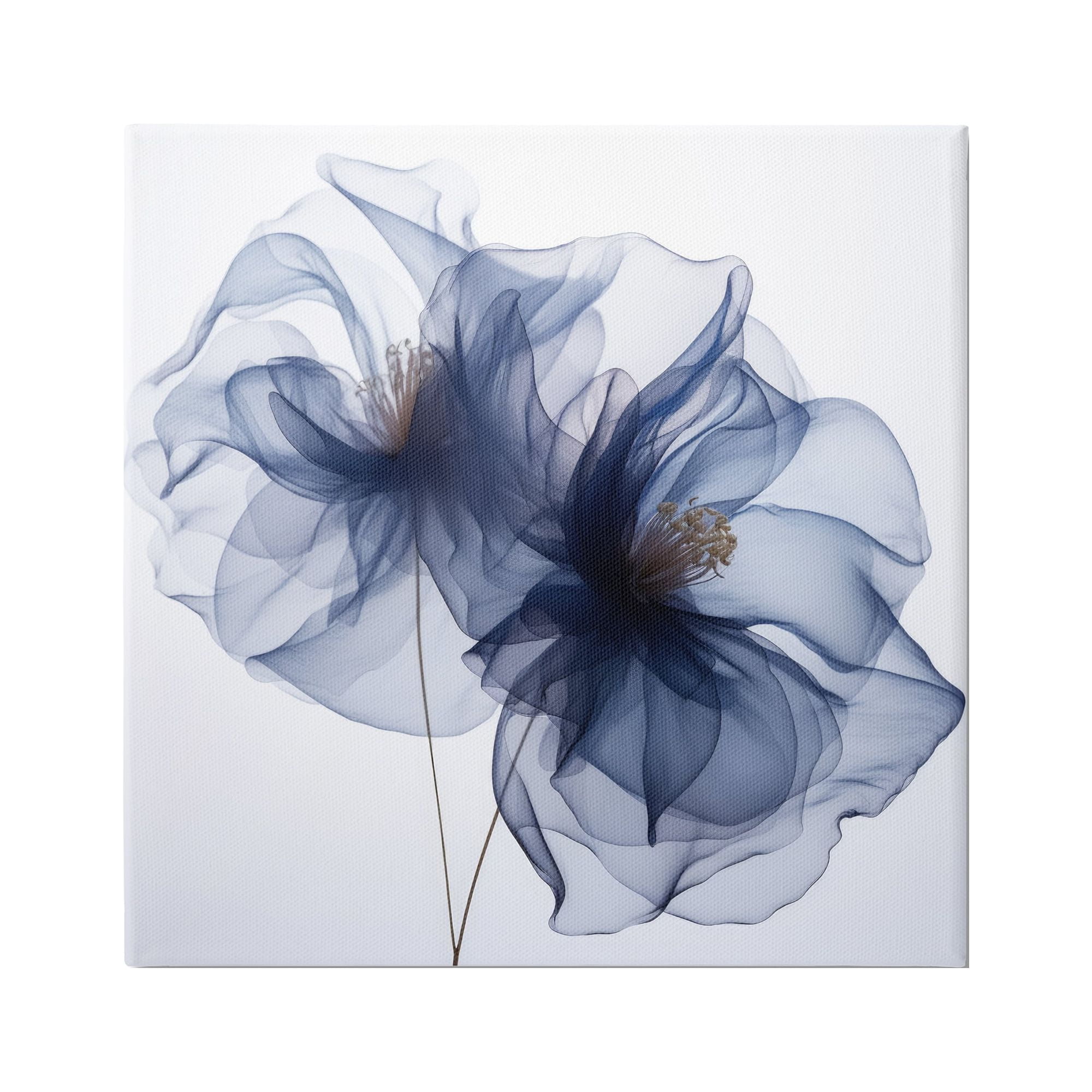 Stupell Industries Blue Modern Bloom Botanical & Floral Photography Gallery Wrapped Canvas Art Print Wall Art, 30 x 30
