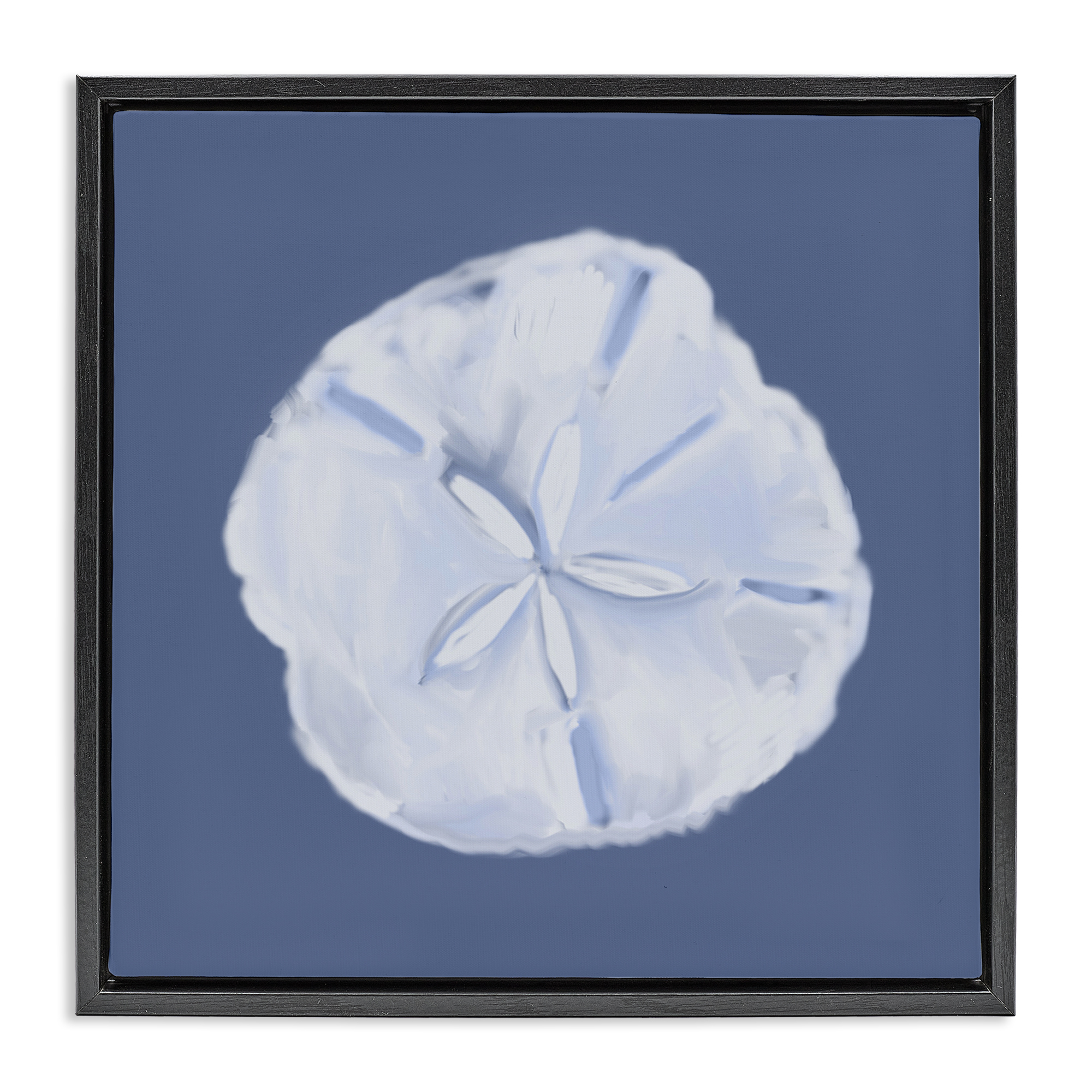 Stupell Industries Blue Nova Sand Dollar Animals & Insects Painting Black Floater Framed Canvas Art Print Wall Art, 18 x 18