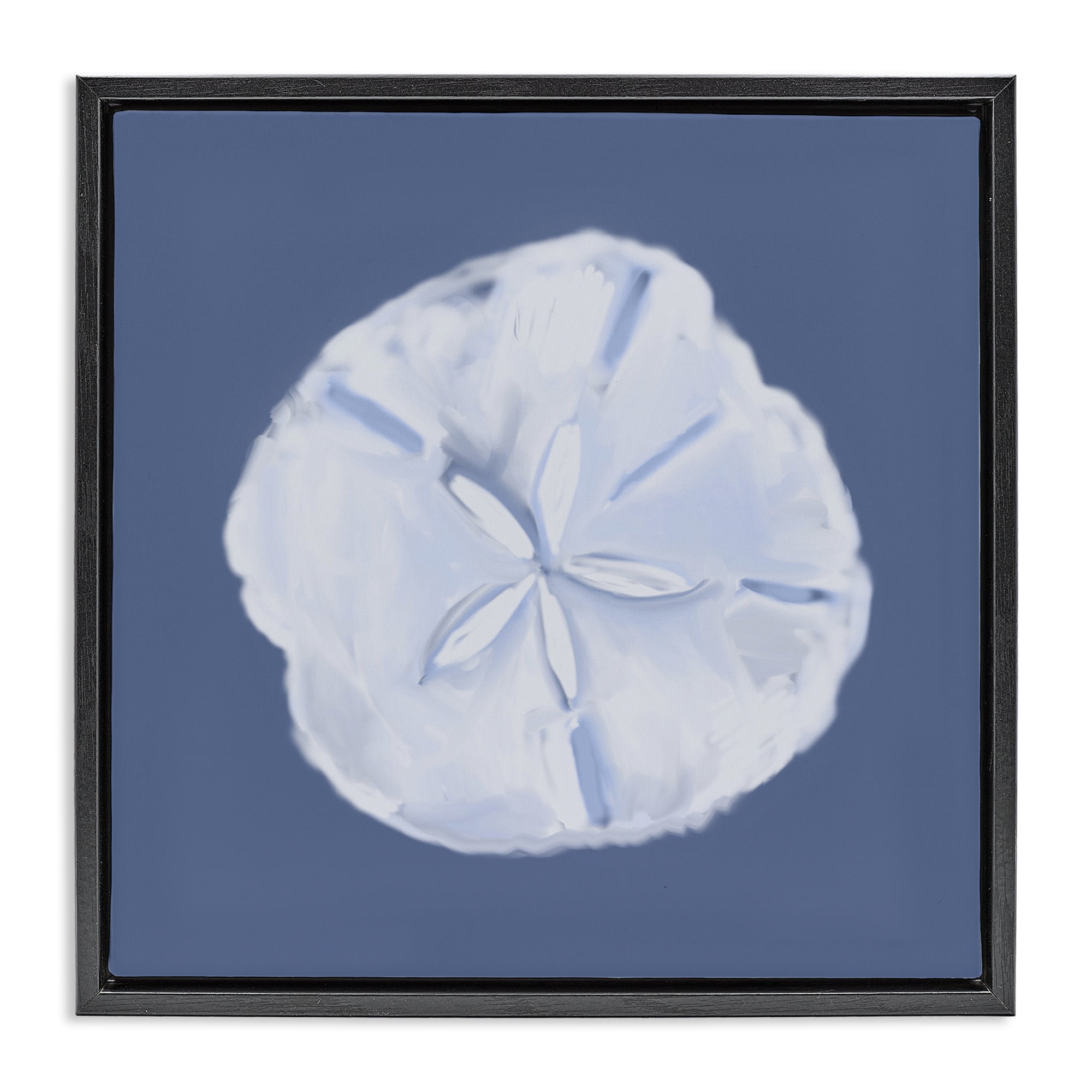 Stupell Industries Blue Nova Sand Dollar Animals & Insects Painting Black Floater Framed Canvas Art Print Wall Art, 25 x 25