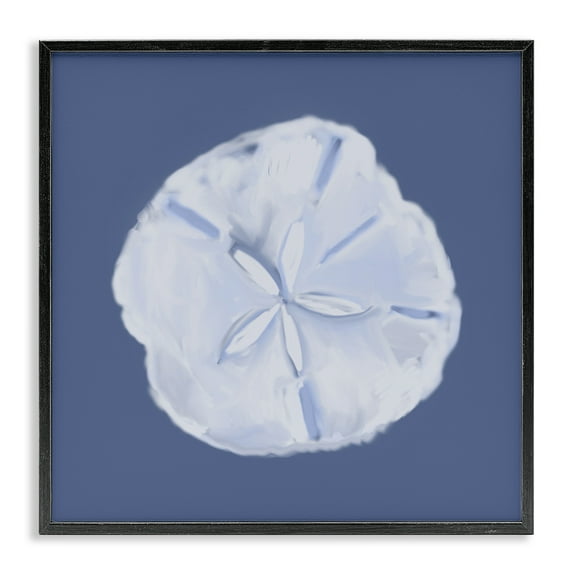 Stupell Industries Blue Nova Sand Dollar Animals & Insects Painting Black Framed Art Print Wall Art, 12 x 12