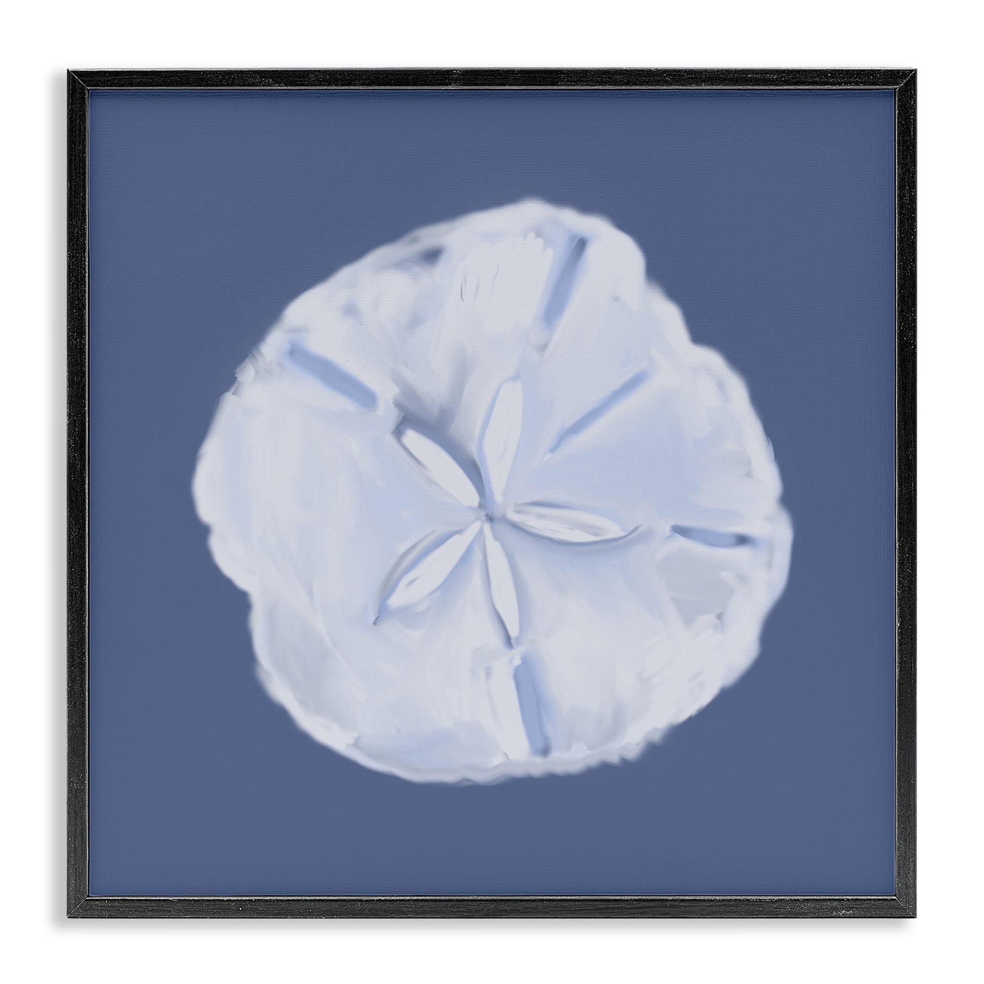 Stupell Industries Blue Nova Sand Dollar Animals & Insects Painting Black Framed Art Print Wall Art, 24 x 24