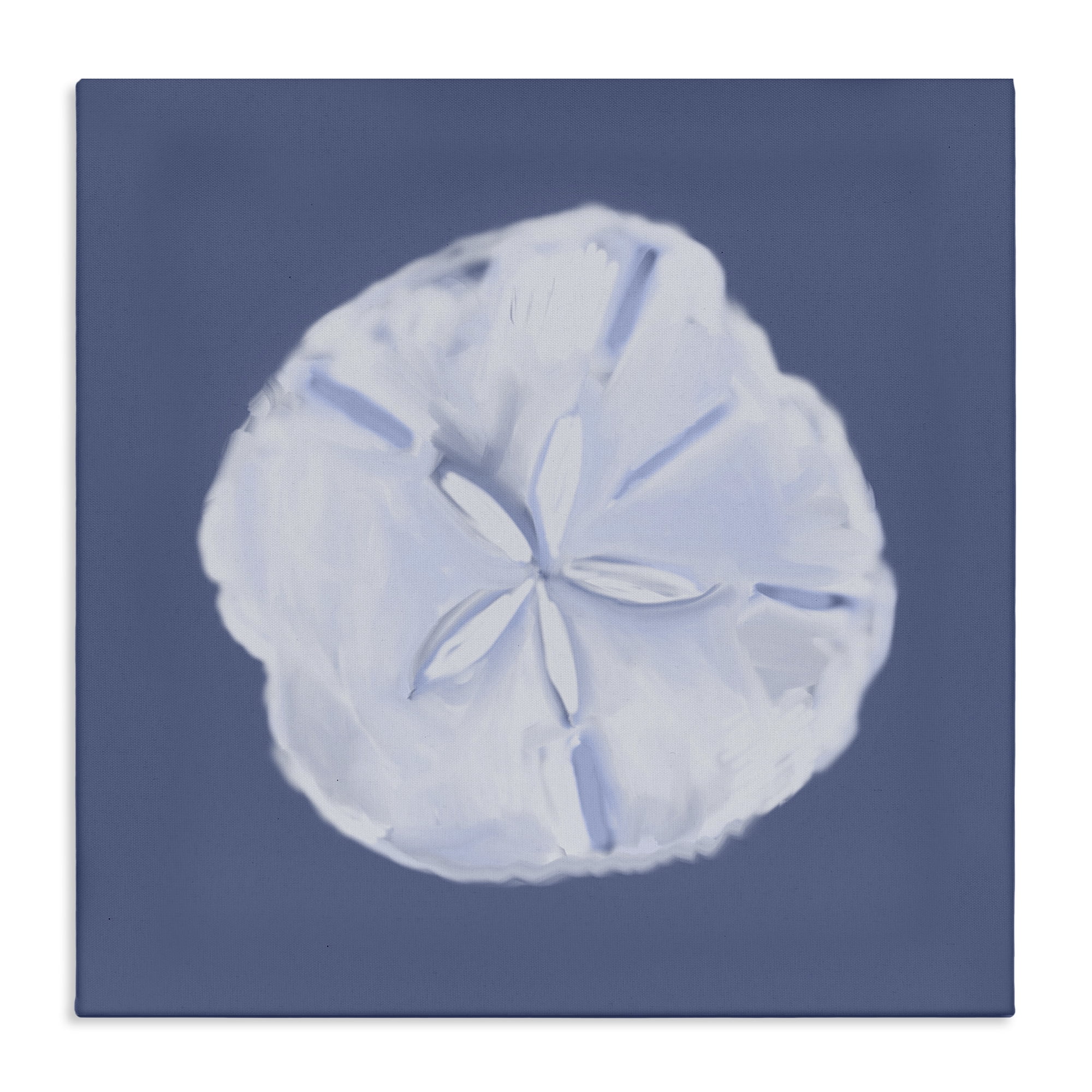Stupell Industries Blue Nova Sand Dollar Animals & Insects Painting Gallery Wrapped Canvas Art Print Wall Art, 24 x 24