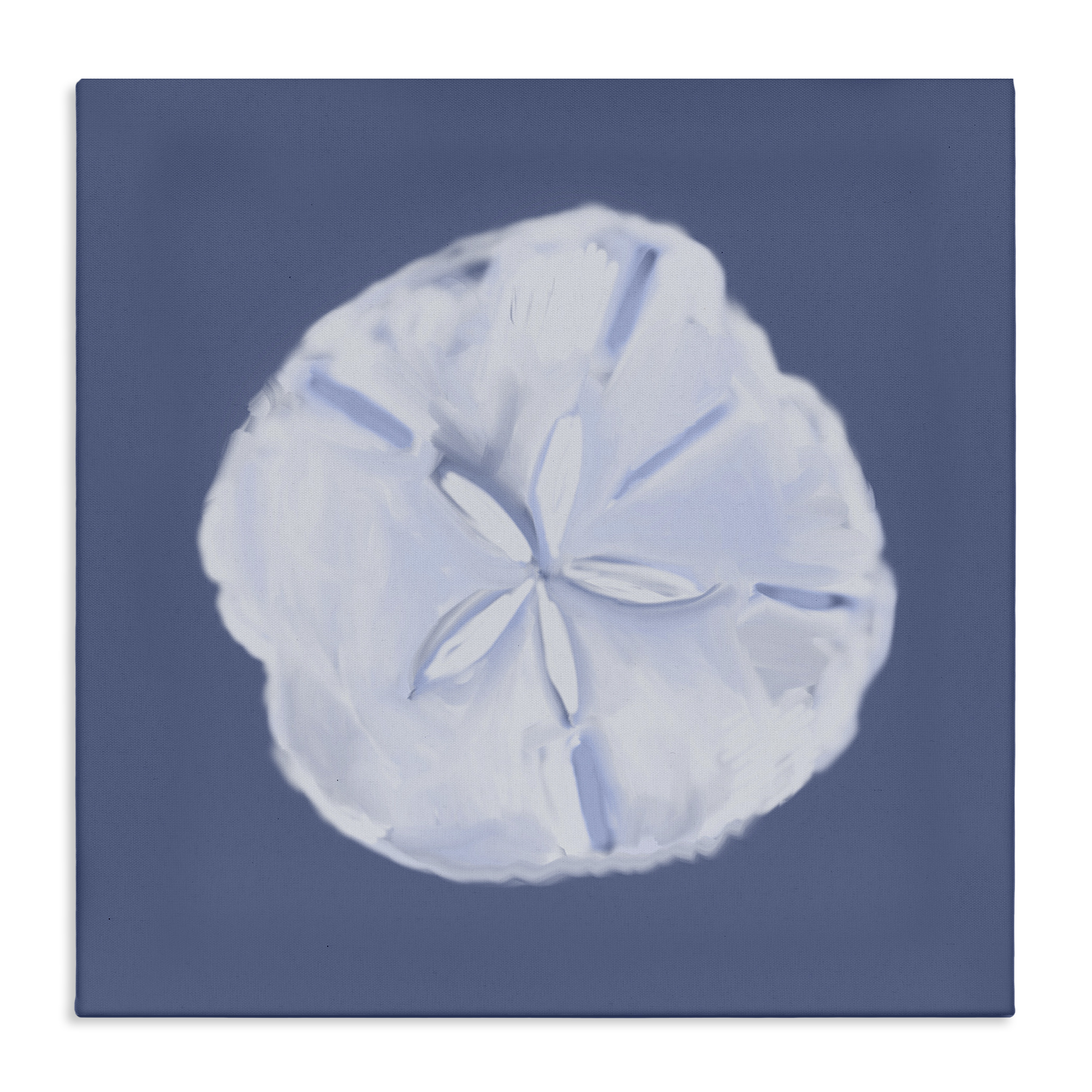 Stupell Industries Blue Nova Sand Dollar Animals & Insects Painting Gallery Wrapped Canvas Art Print Wall Art, 30 x 30