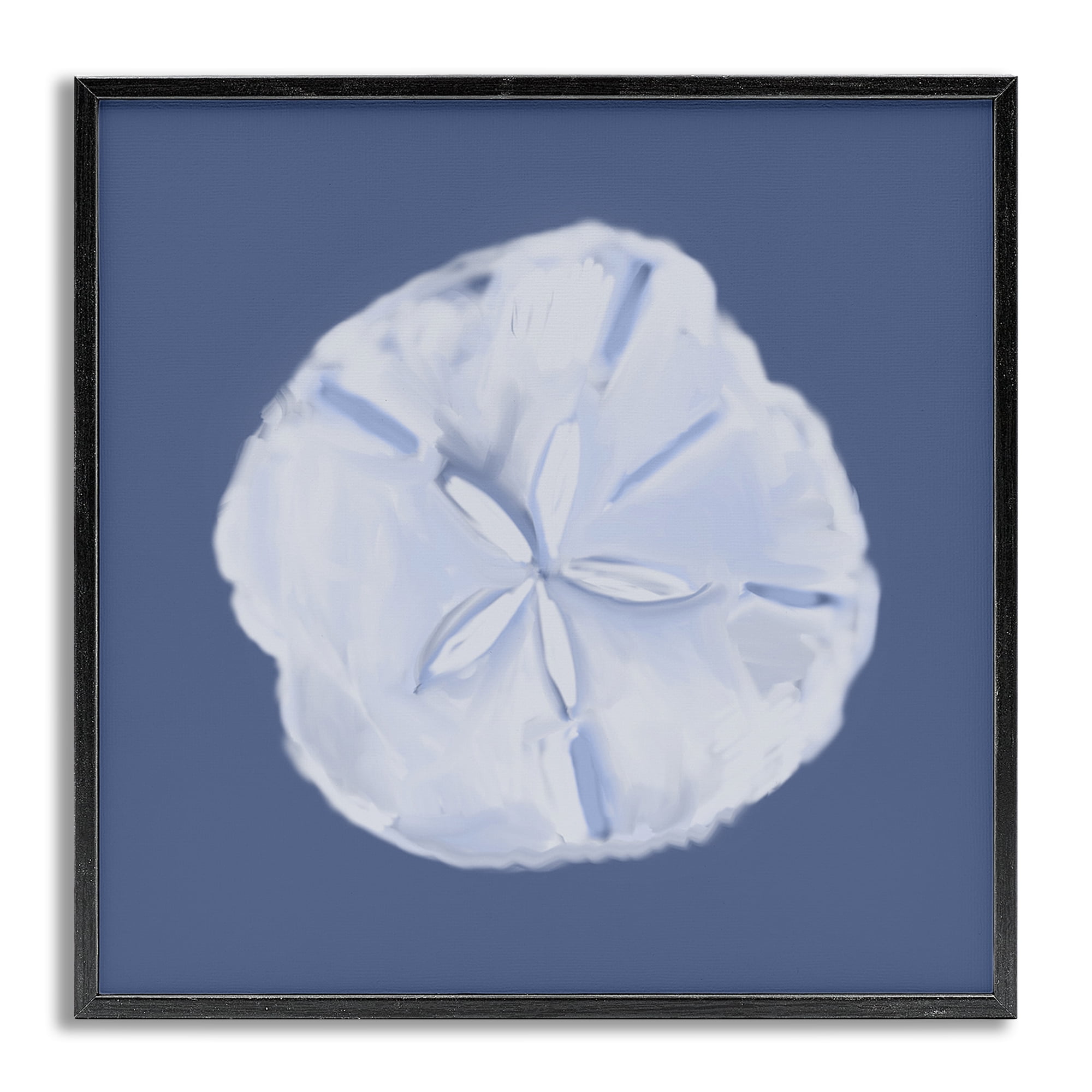 Stupell Industries Blue Nova Sand Dollar Animals & Insects Painting Gray Framed Art Print Wall Art, 12 x 12