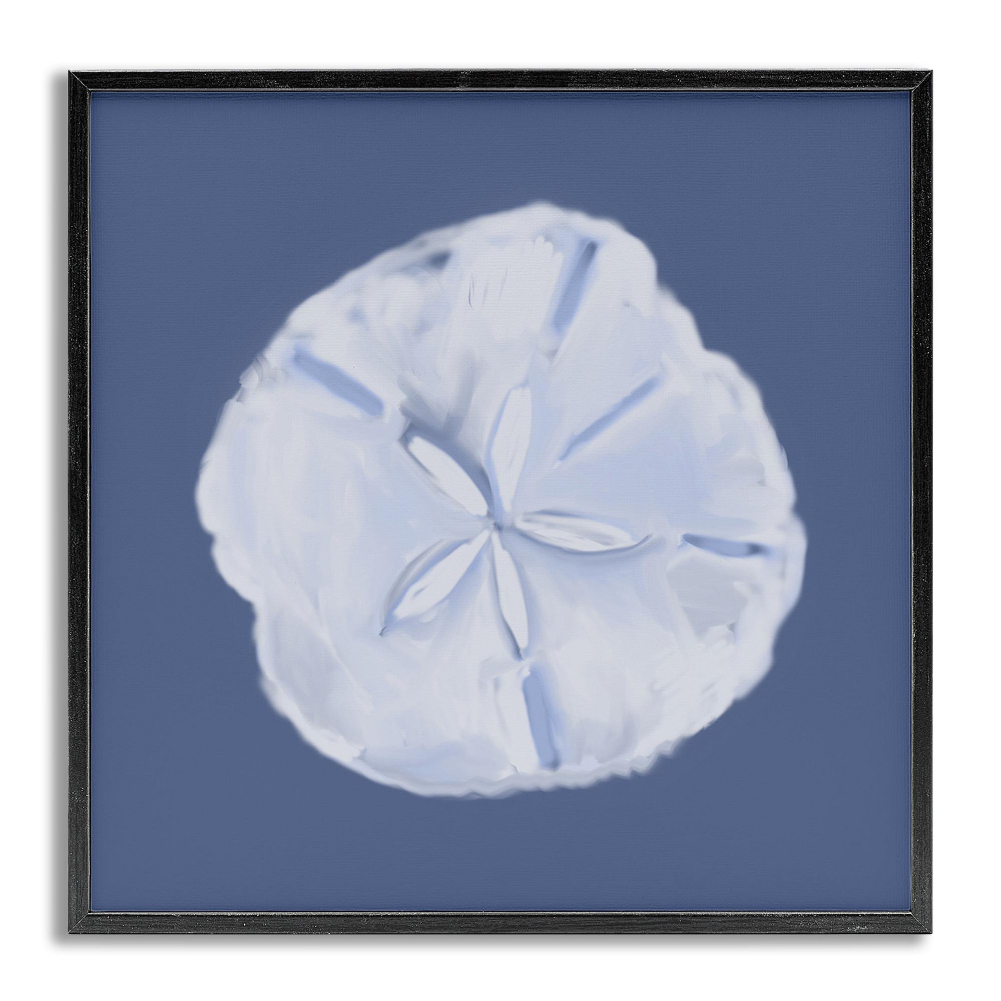 Stupell Industries Blue Nova Sand Dollar Animals & Insects Painting Gray Framed Art Print Wall Art, 24 x 24