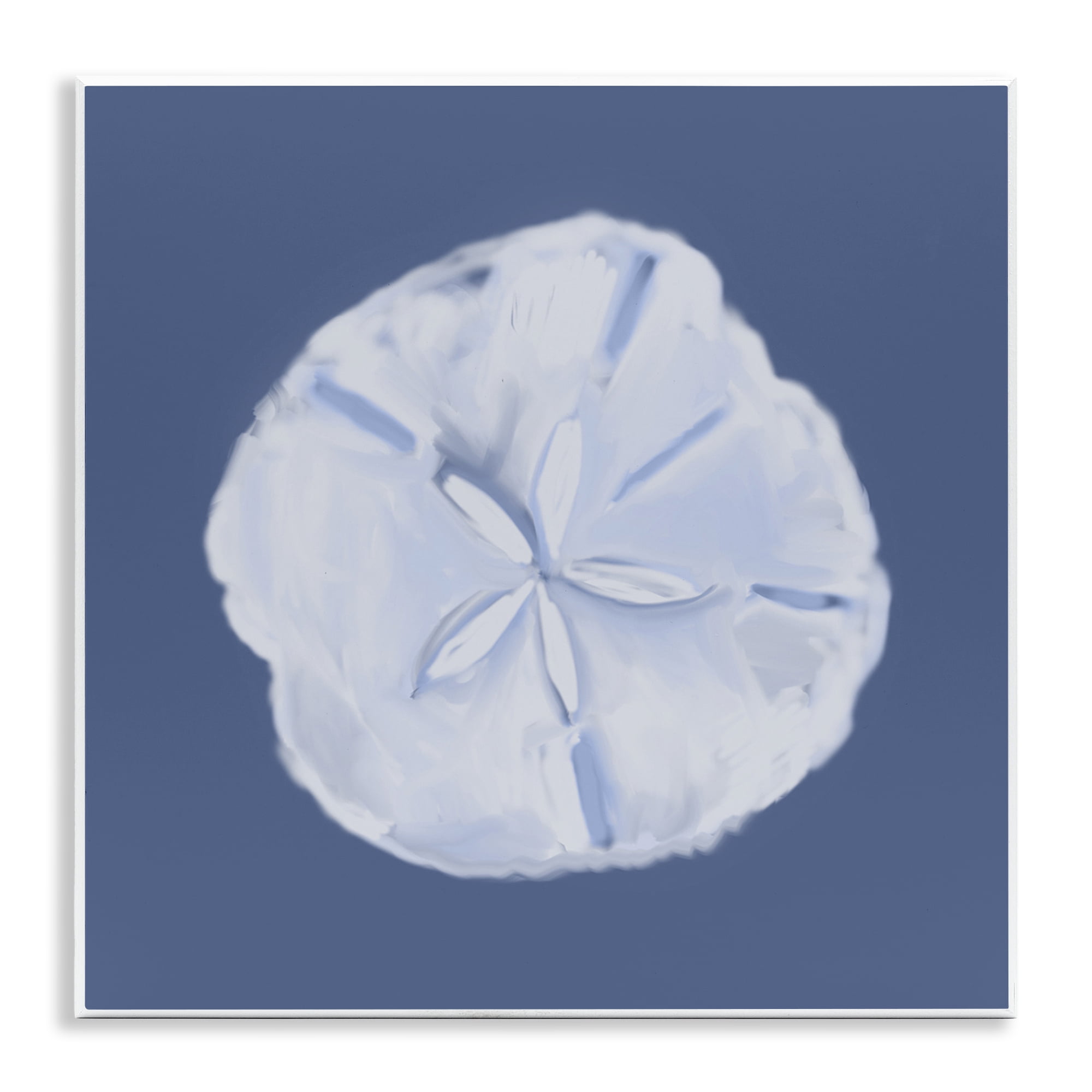 Stupell Industries Blue Nova Sand Dollar Animals & Insects Painting Unframed Art Print Wall Art, 12 x 12