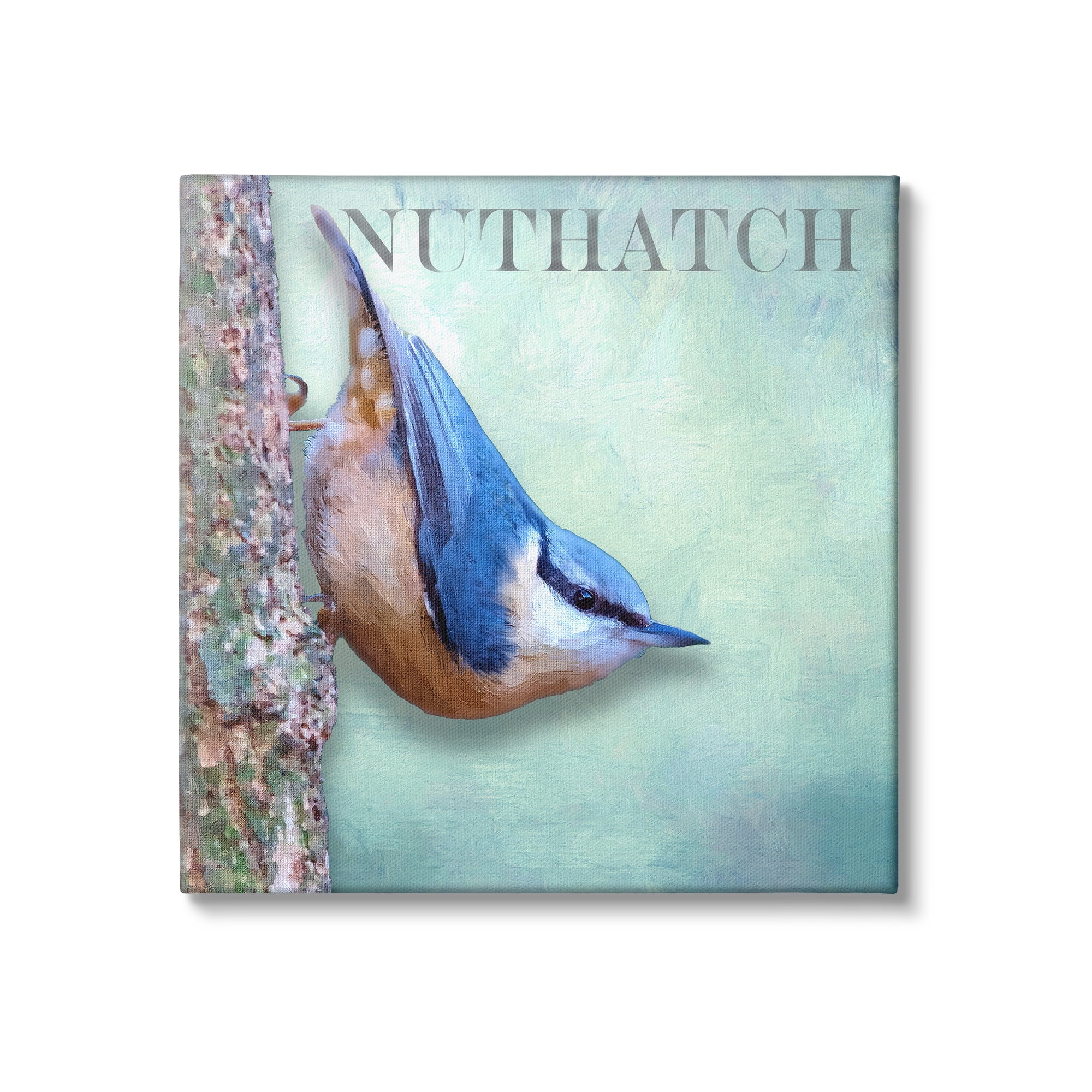 Stupell Industries Blue Nuthatch Bird Climbing Tree Forest Wildlife Graphic Art Gallery Wrapped Canvas Print Wall Art, Design by Alpenglow Workshop