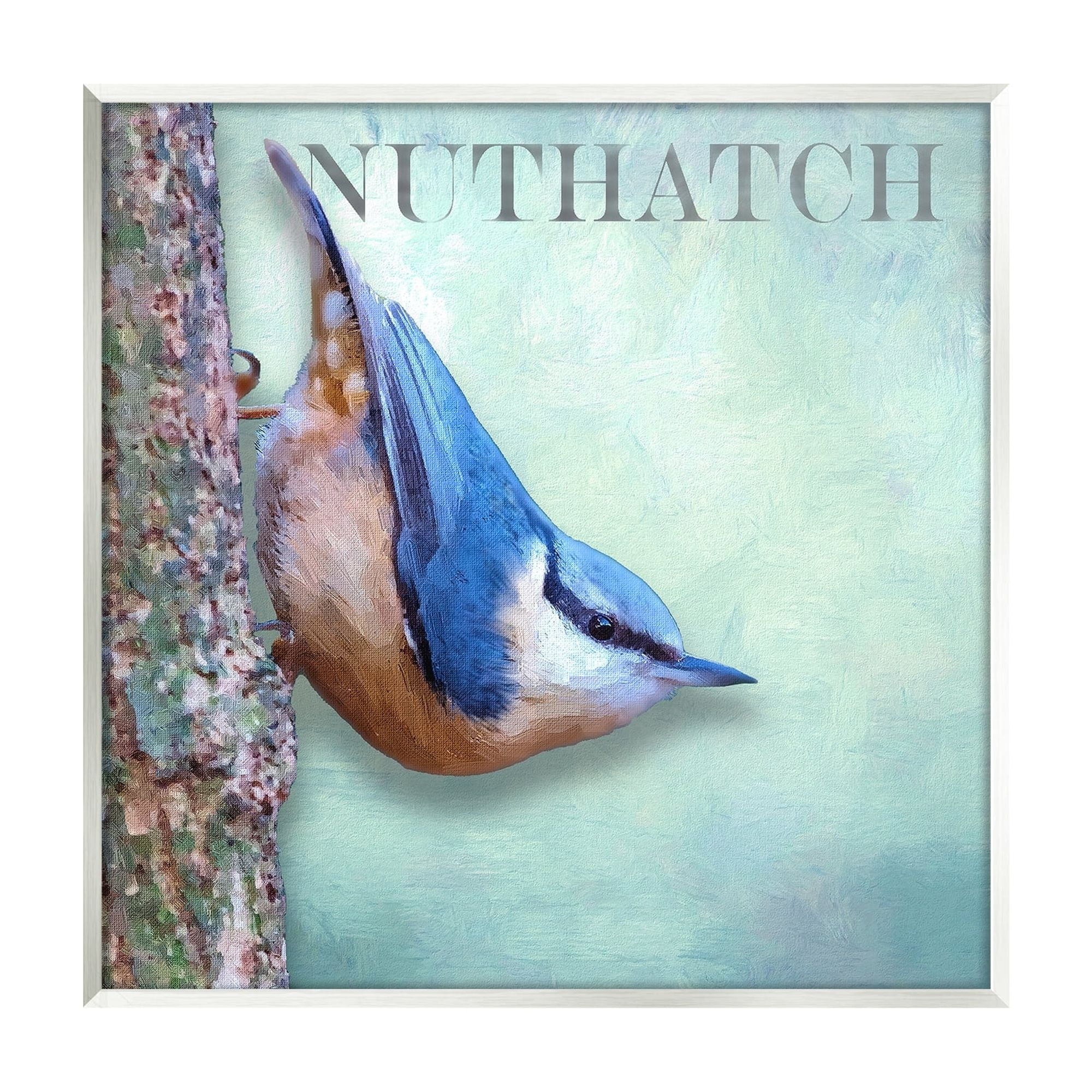Stupell Industries Blue Nuthatch Bird Climbing Tree Forest Wildlife Graphic Art Unframed Art Print Wall Art, Design by Alpenglow Workshop