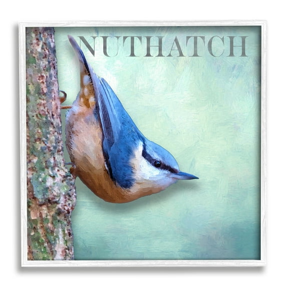 Stupell Industries Blue Nuthatch Bird Climbing Tree Forest Wildlife Graphic Art White Framed Art Print Wall Art, Design by Alpenglow Workshop
