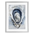 Shell Posster Blue Stupell Industries Blue Oyster Shell Interior Gray Framed Print Under ...