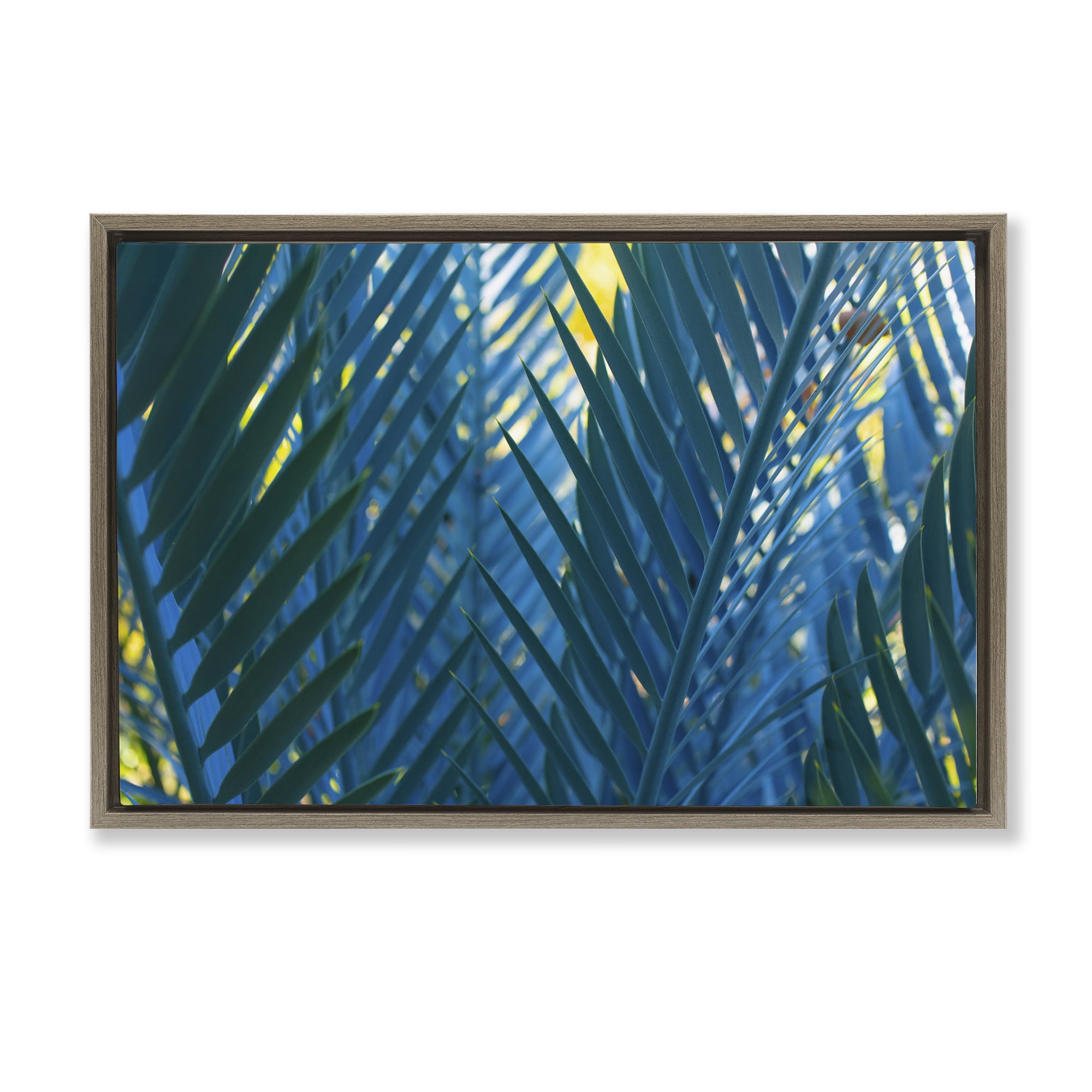 Stupell Industries Blue Palm Fronds Plants & Flowers Photography Brown Floater Framed Canvas Art Print Wall Art, 25 x 17