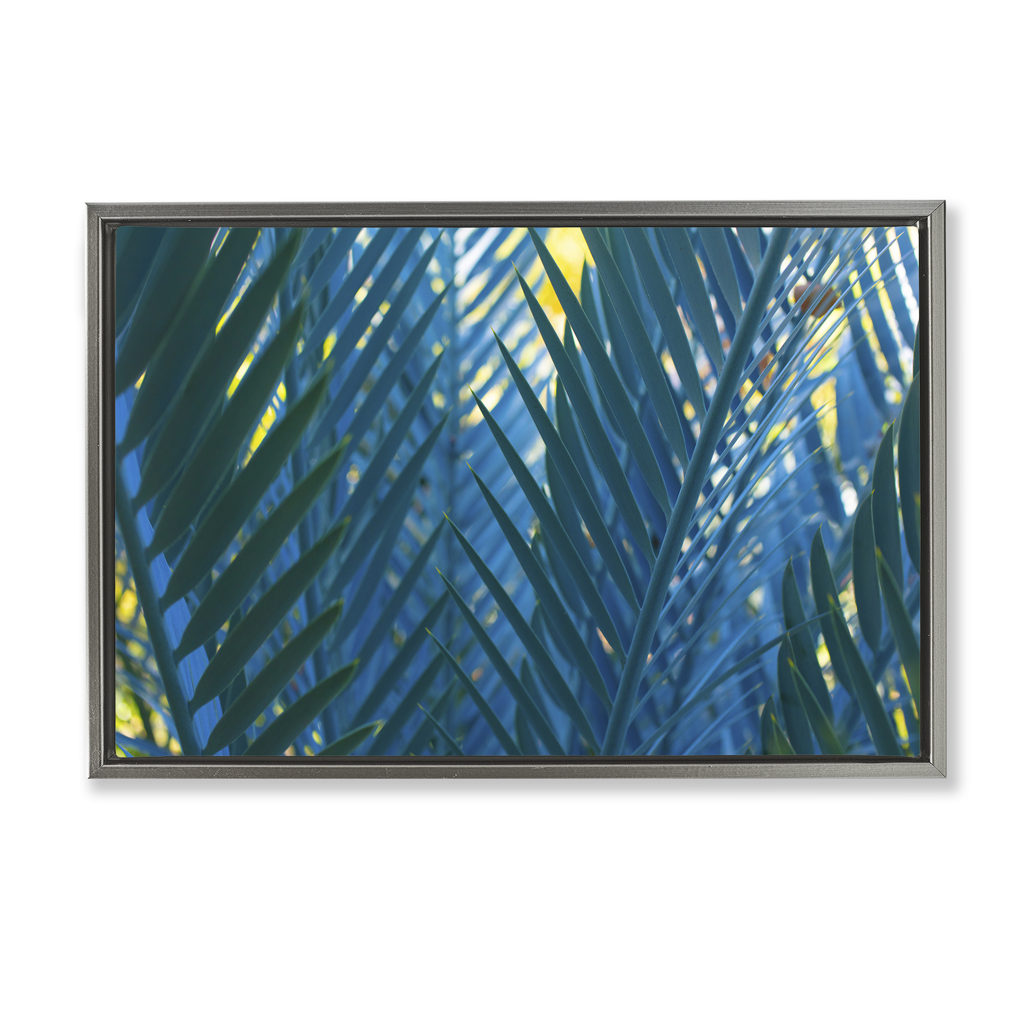 Stupell Industries Blue Palm Fronds Plants & Flowers Photography Gray Floater Framed Canvas Art Print Wall Art, 25 x 17
