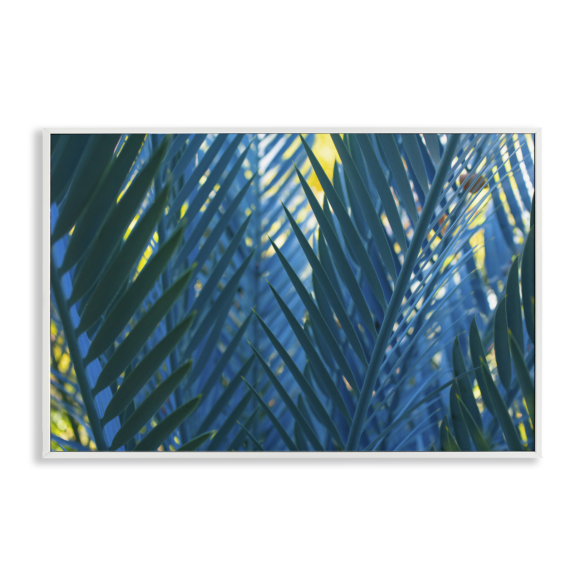 Stupell Industries Blue Palm Fronds Plants & Flowers Photography White Framed Art Print Wall Art, 18 x 12