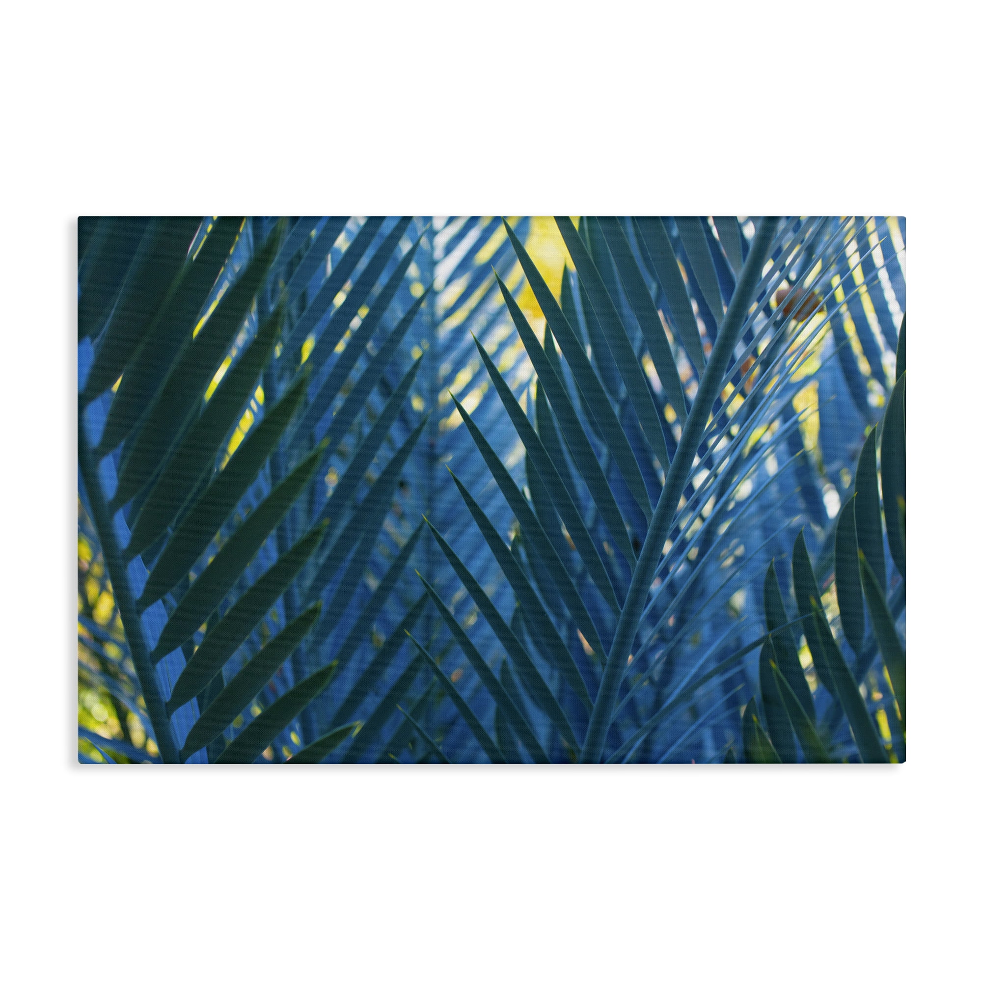 Stupell Industries Blue Palm Fronds Plants & Flowers Photography Wrapped Canvas Art Print Wall Art, 36 x 24