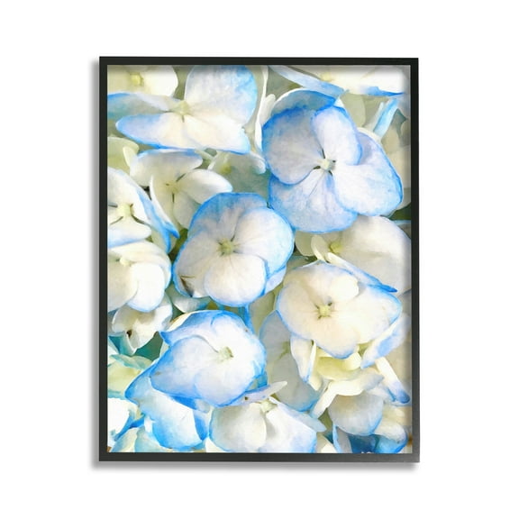 Stupell Industries Blue Pansies Pattern Botanical & Floral Photography Black Framed Art Print Wall Art, 11 x 14