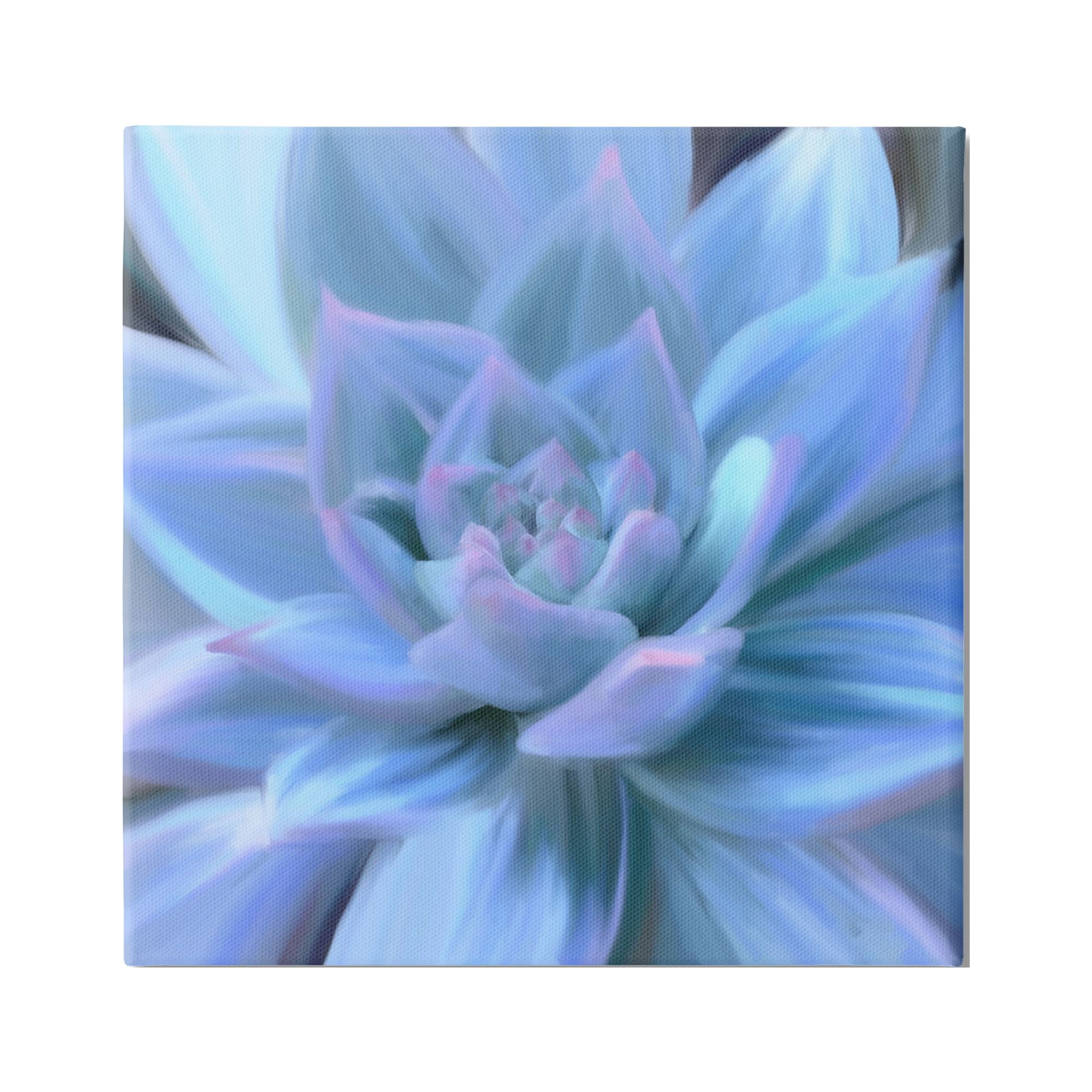 Stupell Industries Blue Plant Petals Botanical & Floral Painting Gallery Wrapped Canvas Print Wall Art, 36 x 36