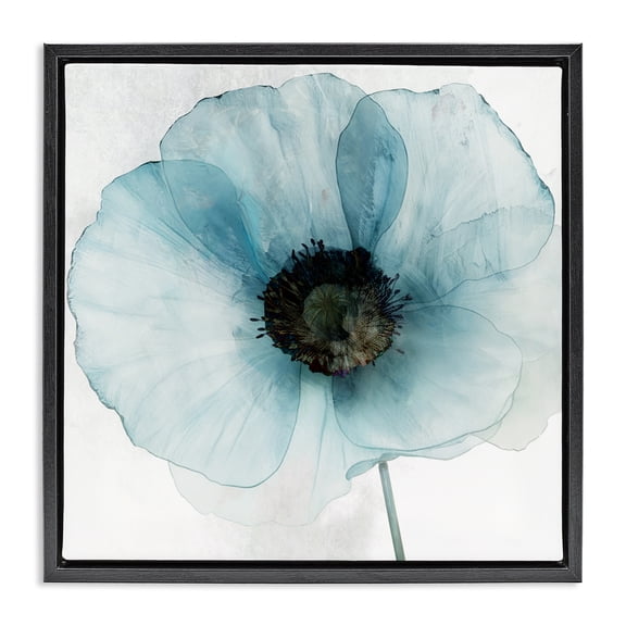 Stupell Industries Blue Promise Peony Floral Black Framed Floater Canvas Wall Art design by Annabelle Hall, 18 x 18