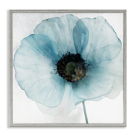 Stupell Industries Blue Promise Peony Floral Gray Framed Giclee Art design by Annabelle Hall, 17 x 17