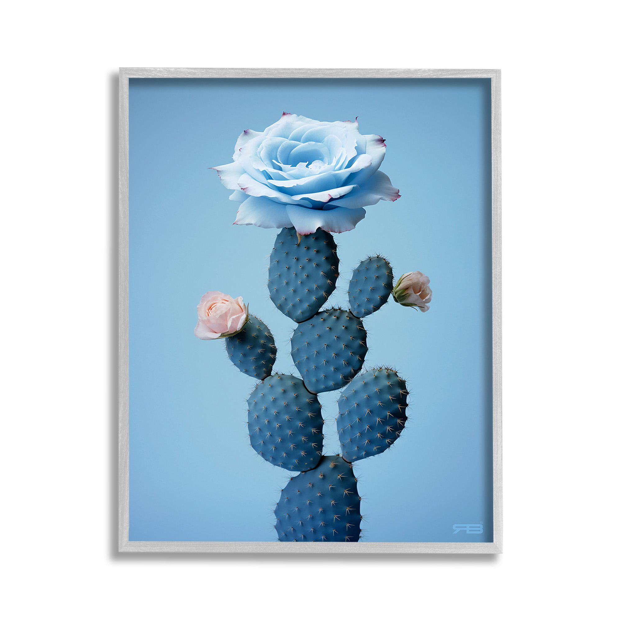 Stupell Industries Blue Rose & Cactus Botanical & Floral Painting Gray Framed Art Print Wall Art, 11 x 14