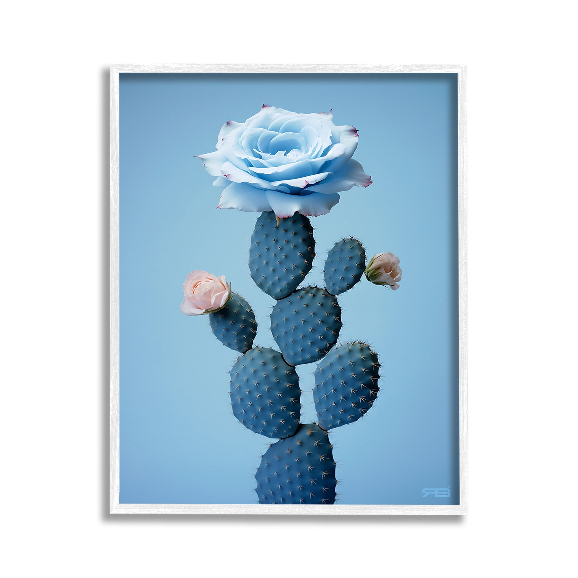 Stupell Industries Blue Rose & Cactus Botanical & Floral Painting White Framed Art Print Wall Art, 11 x 14
