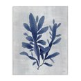 thumbnail image 1 of Stupell Industries Transitional Blue Sea Algae Canvas Art, 30 x 40, by Amber Sterling, 1 of 7